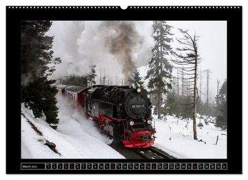 CALVENDO Wandkalender Steam Experience (Premium-Calendar 2023 DIN A2 Landscape)