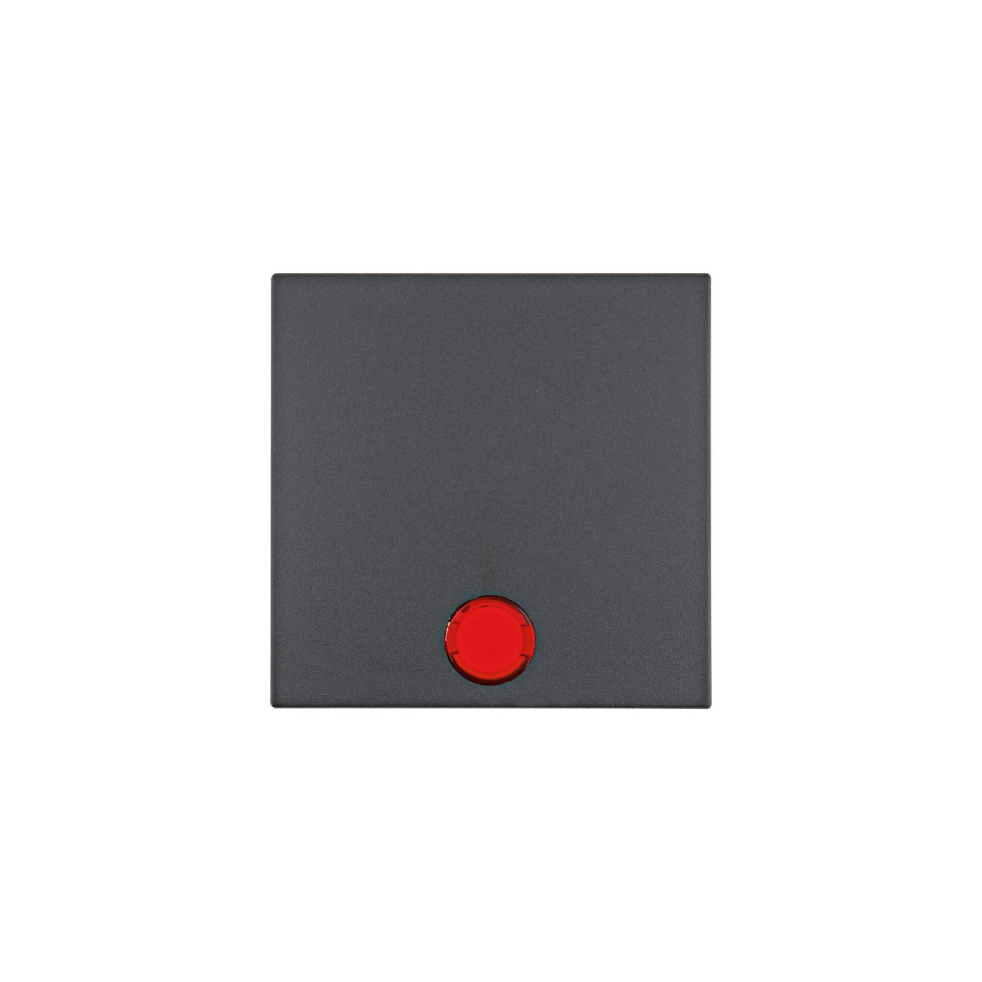 Berker Schalter Berker Wippe anth matt m. 5 beilieg.Linsen 16211606