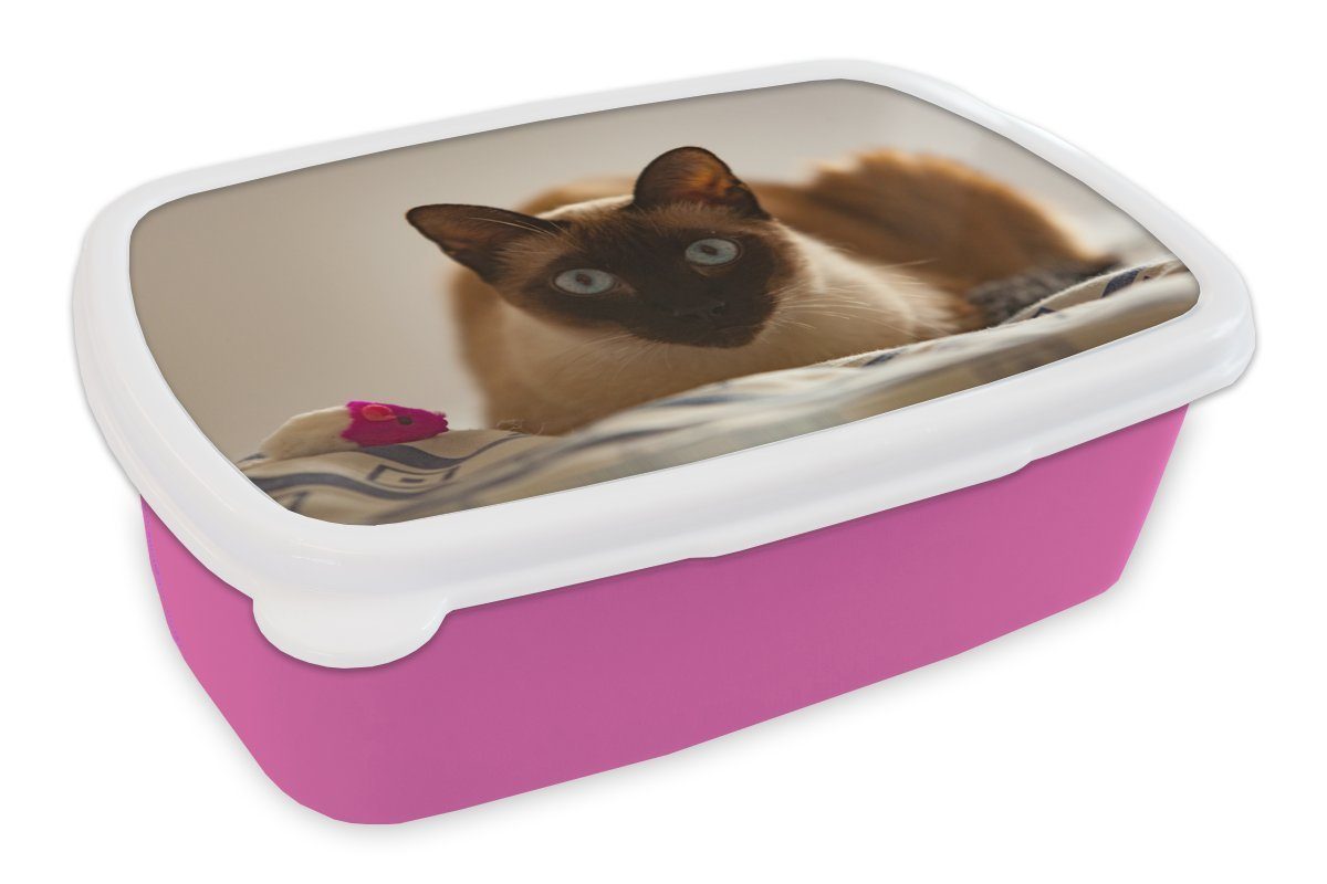 MuchoWow Lunchbox Siamkatze auf dem Bett, Kunststoff, (2-tlg), Brotbox für Erwachsene, Brotdose Kinder, Snackbox, Mädchen, Kunststoff rosa