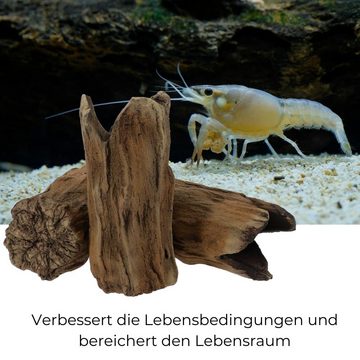 GarPet Aquariendeko Aquarium Deko Baumstamm Höhle Röhre Ablaichhöhle Fisch Wels Tonröhre