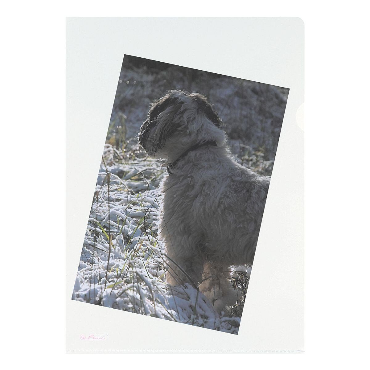 Herlitz Prospekthülle, 100 Stück, glasklar, Format A4 ohne Lochrand, mit Greifausschnitt