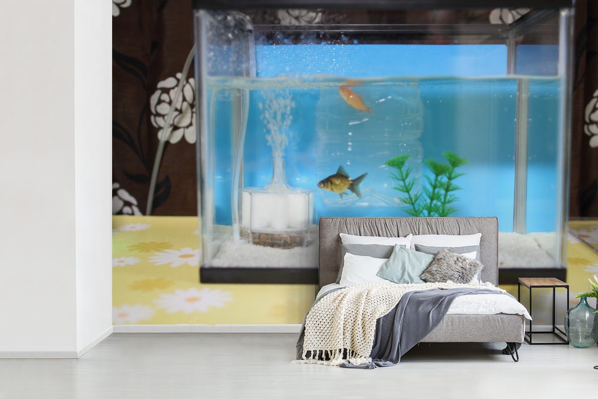 St), bedruckt, Fische Matt, (6 Aquarium, Kinderzimmer, Tapete in Schlafzimmer, für MuchoWow Zwei Wallpaper einem Wohnzimmer, Vinyl Fototapete