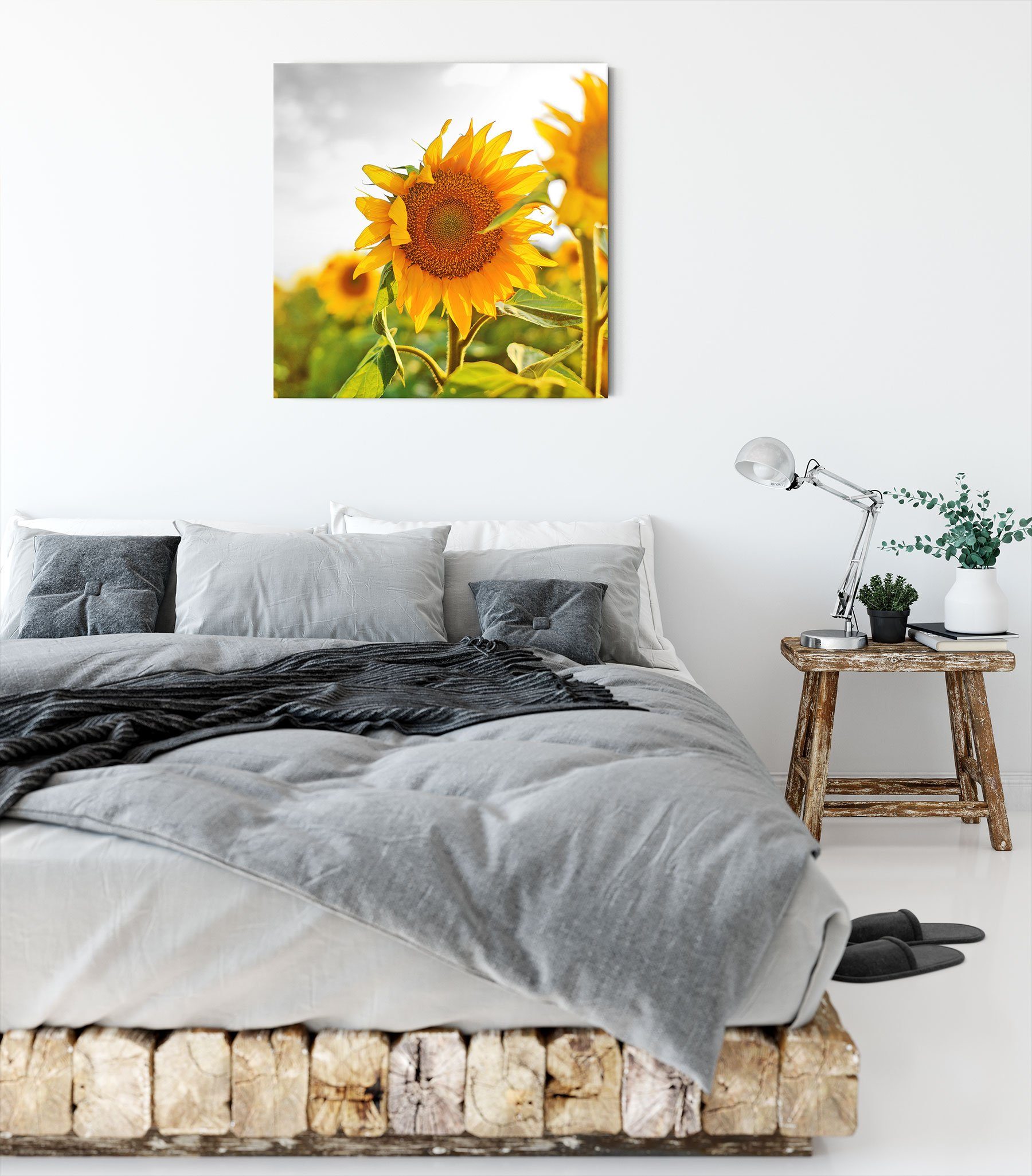 St), Pixxprint Zackenaufhänger Leinwandbild bespannt, Nahaufnahme Sonnenblume inkl. Nahaufnahme einer Leinwandbild einer (1 fertig Sonnenblume,