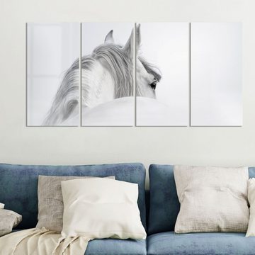 DEQORI Glasbild 'Andalusisches Pferd', 'Andalusisches Pferd', Glas Wandbild Bild schwebend modern