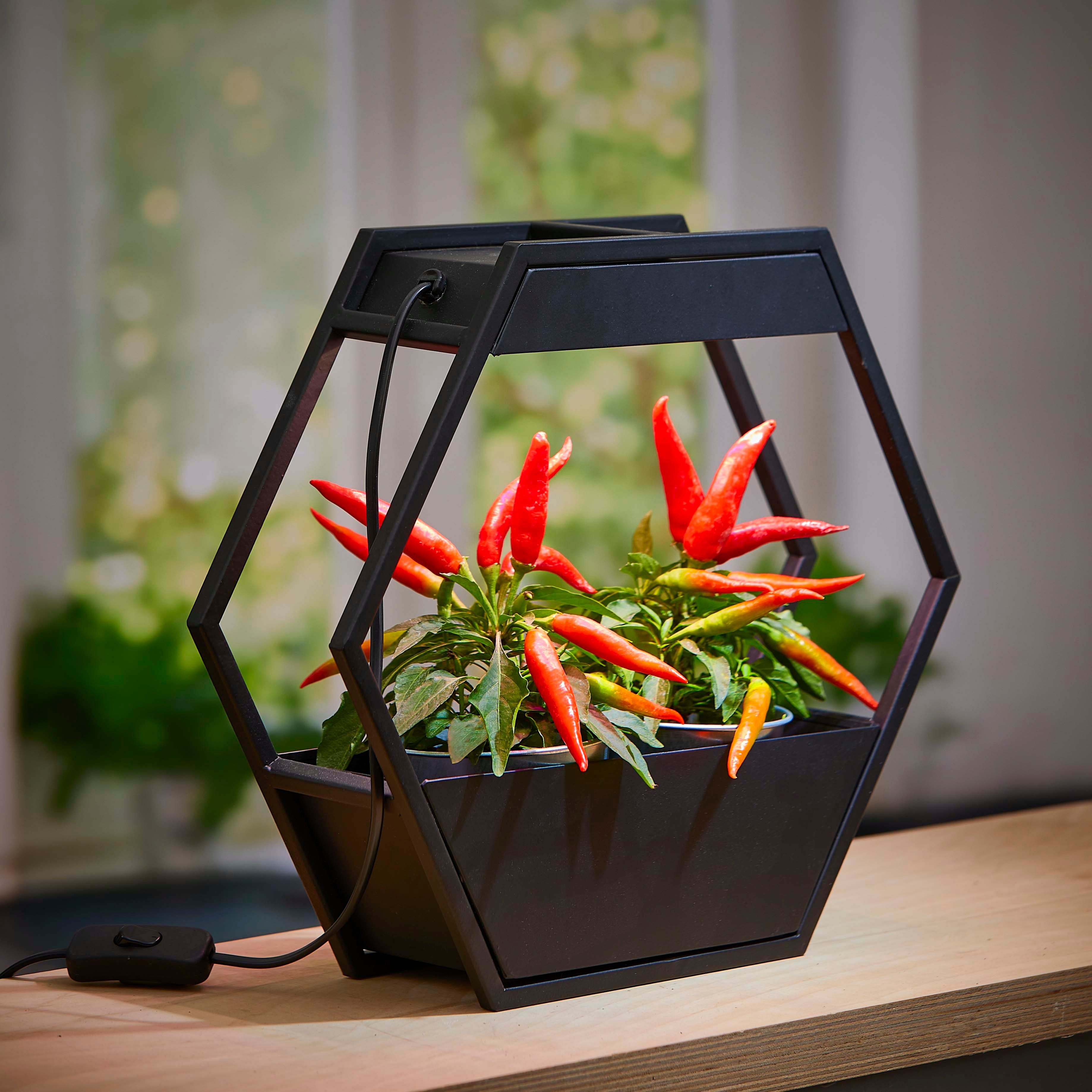 Northpoint Pflanzenlampe LED Pflanzenlampe Pflanzenleuchte Gewächslampe Metallgestell 12W