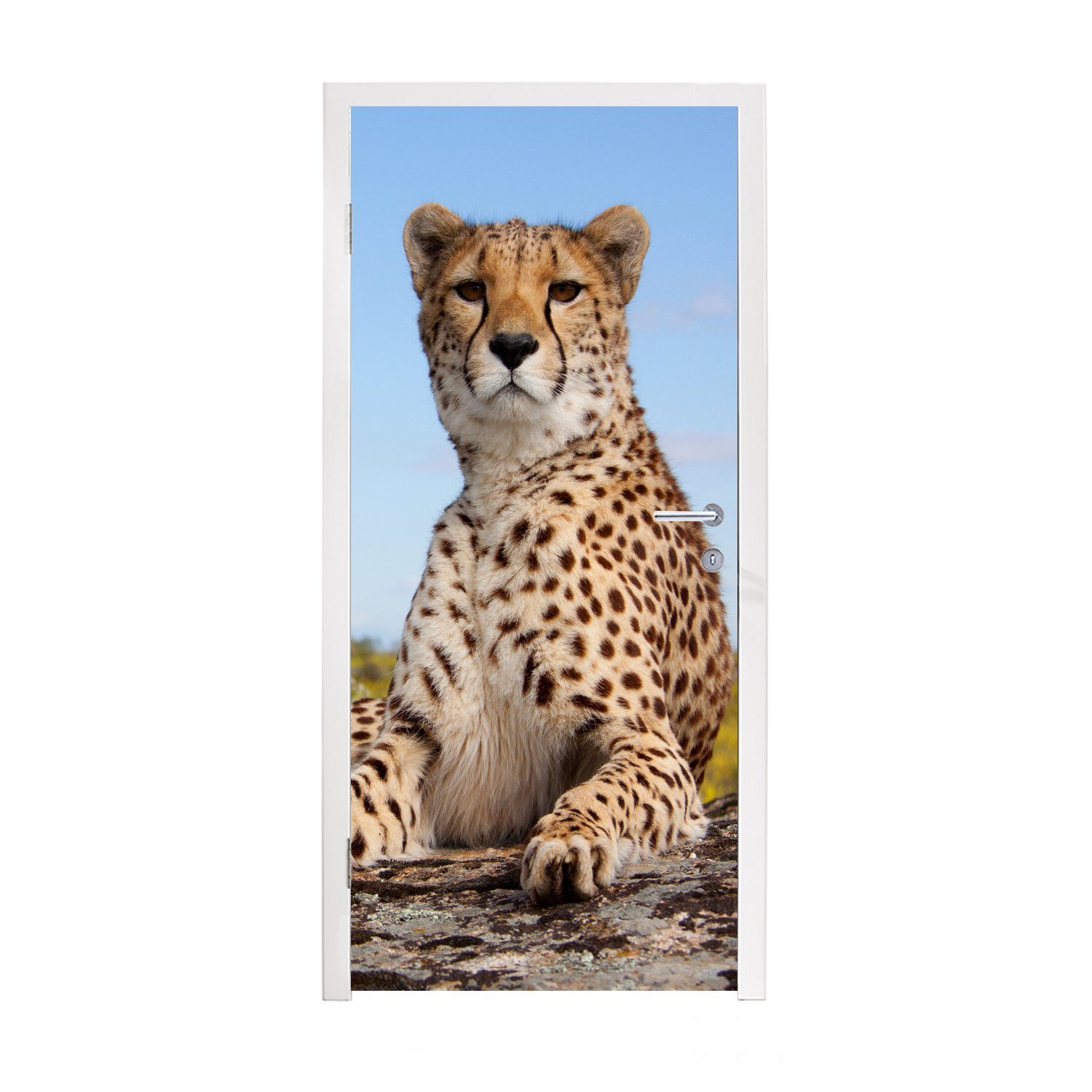 Sonderangebotspreisnachlass MuchoWow Türtapete Leopard - Türaufkleber, Natur, bedruckt, - Tür, St), Matt, 75x205 cm (1 Fototapete Tiere für