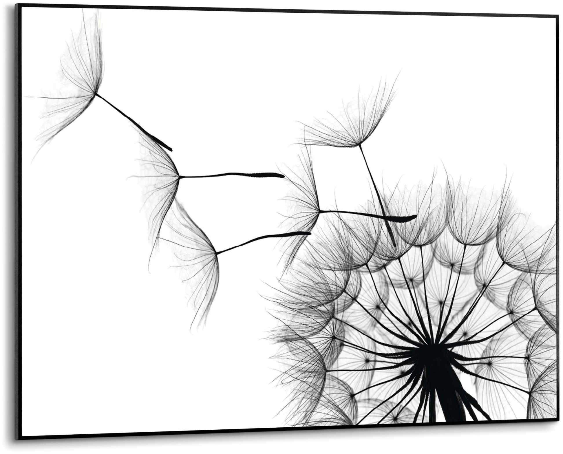 Reinders! Wandbild Slim Frame Black 50x70 Dandelion, Ihr Slim Frame wird  gut und sicher verpackt an sie versendet