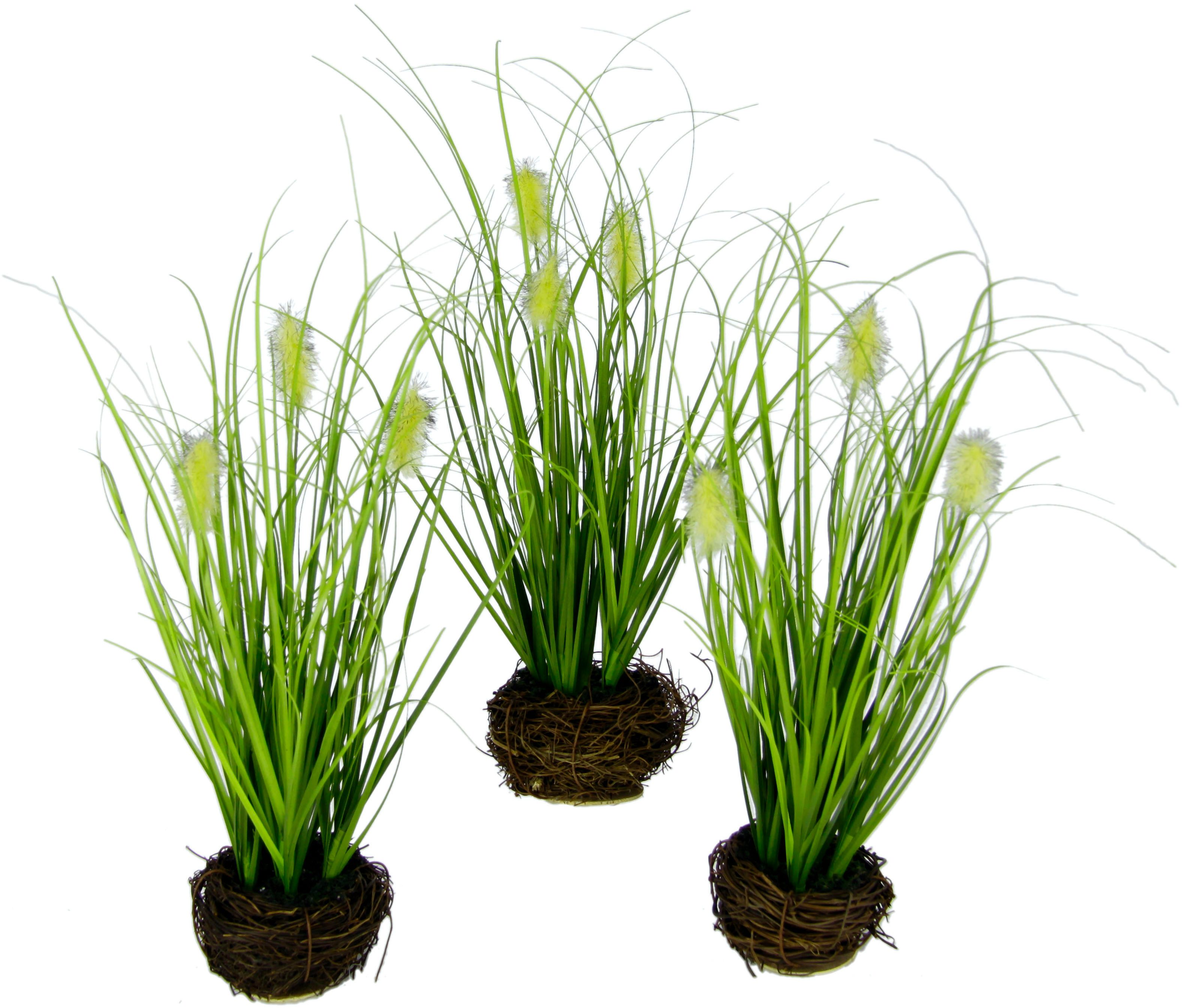 Kunstgras Künstliches Gras 'Fuchsschwanz', I.GE.A., Höhe 26 cm, Im Reisig-Nest, 3er Set