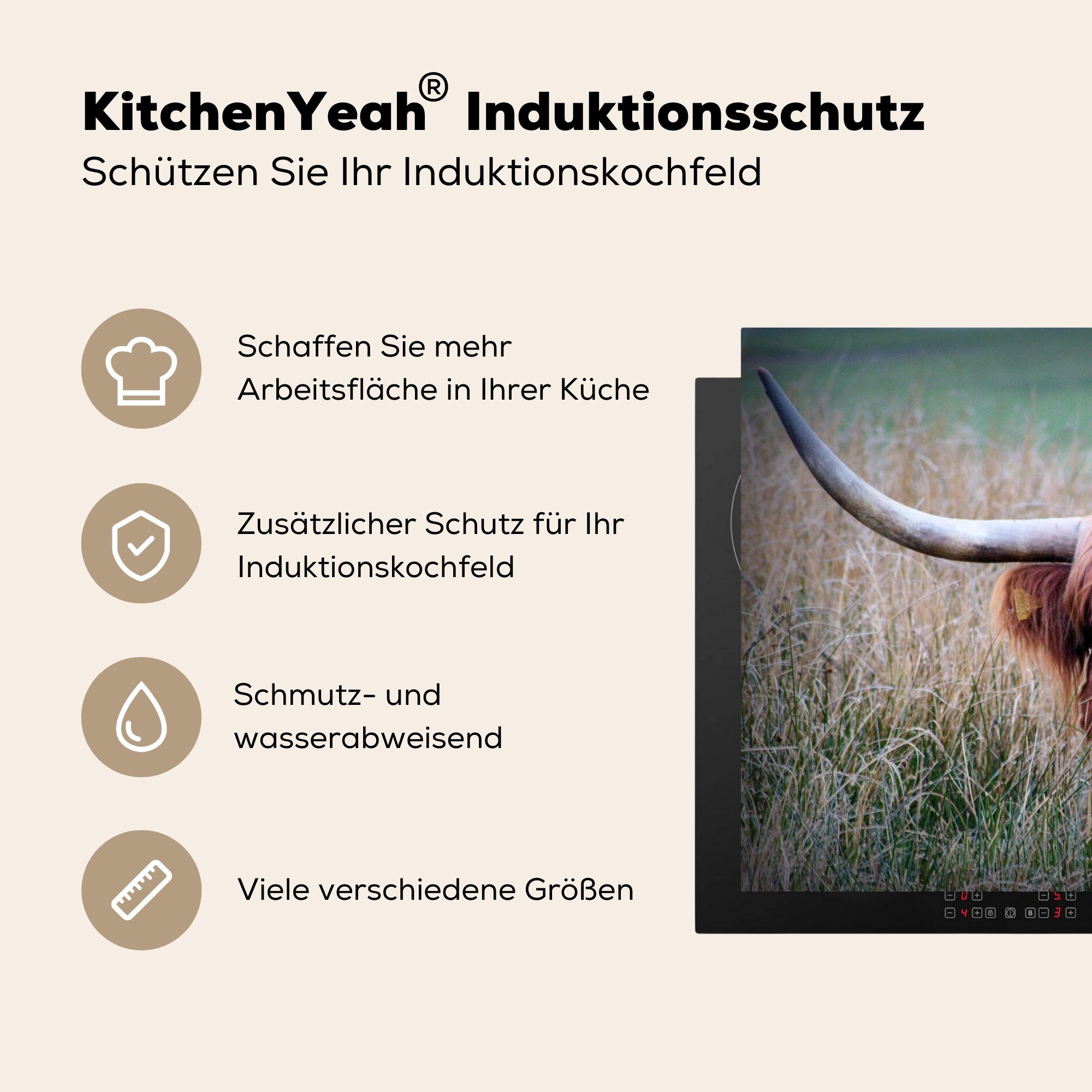 Schutz - Highlander Gras, für Vinyl, cm, Herdblende-/Abdeckplatte Hörner (1 Schottischer Induktionskochfeld - tlg), 81x52 die MuchoWow Ceranfeldabdeckung küche,