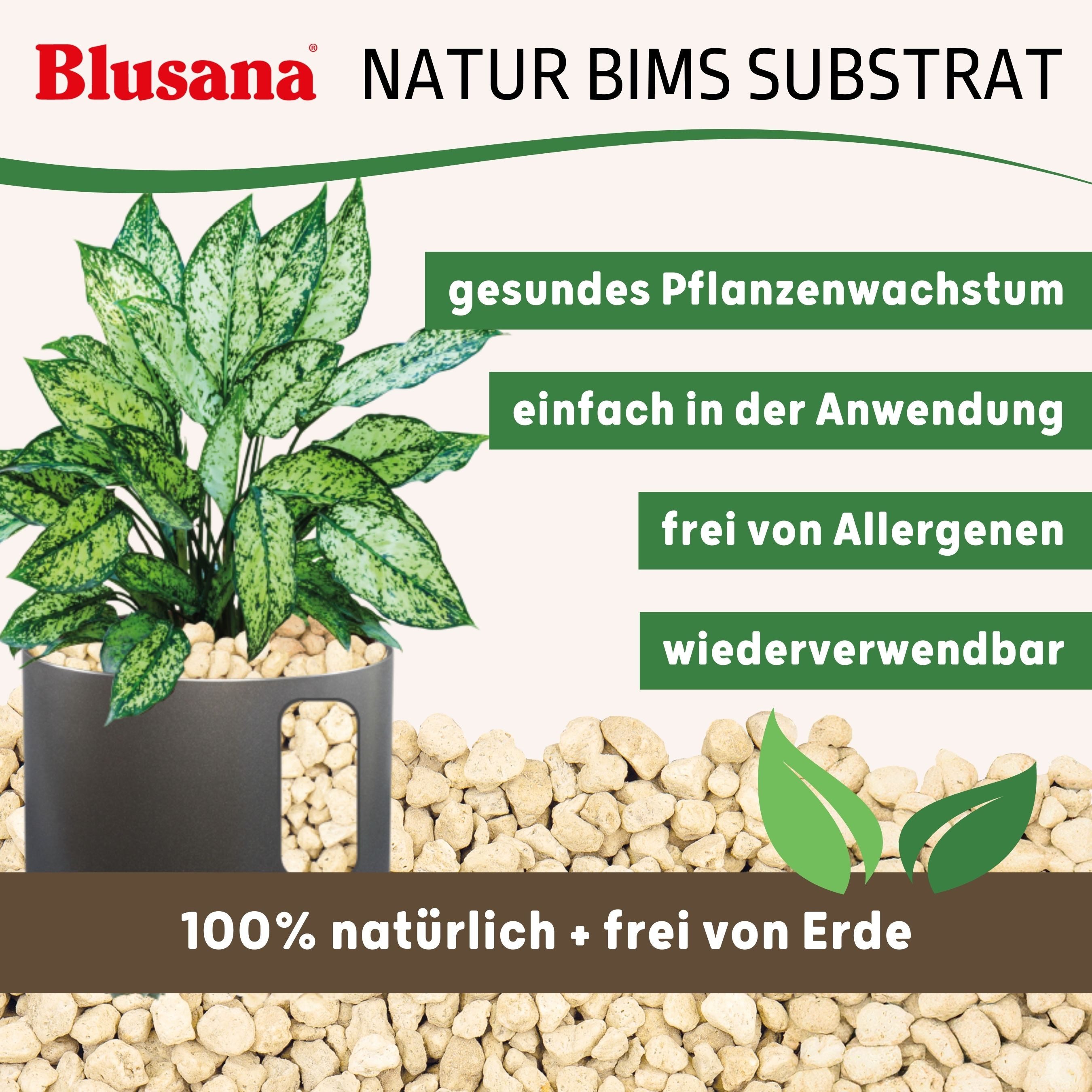 Blusana Pflanzgranulat Bimsstein Pflanzsubstrat mineralisches Bims Vulkangestein, (Substrat für Zimmerpflanzen Balkonkästen Kübel), Pflanzen Granulat Körnung 8-16 mm Hydrokultur Drainage Dekor