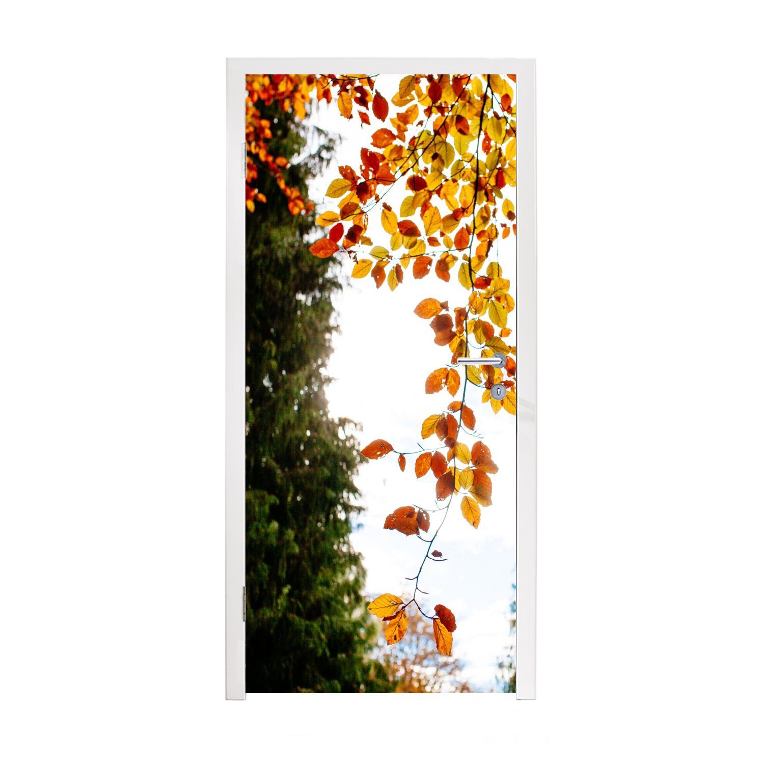 75x205 Natur, MuchoWow Fototapete Türaufkleber, cm Türtapete Tür, (1 St), Herbst für - Laub bedruckt, Matt, -