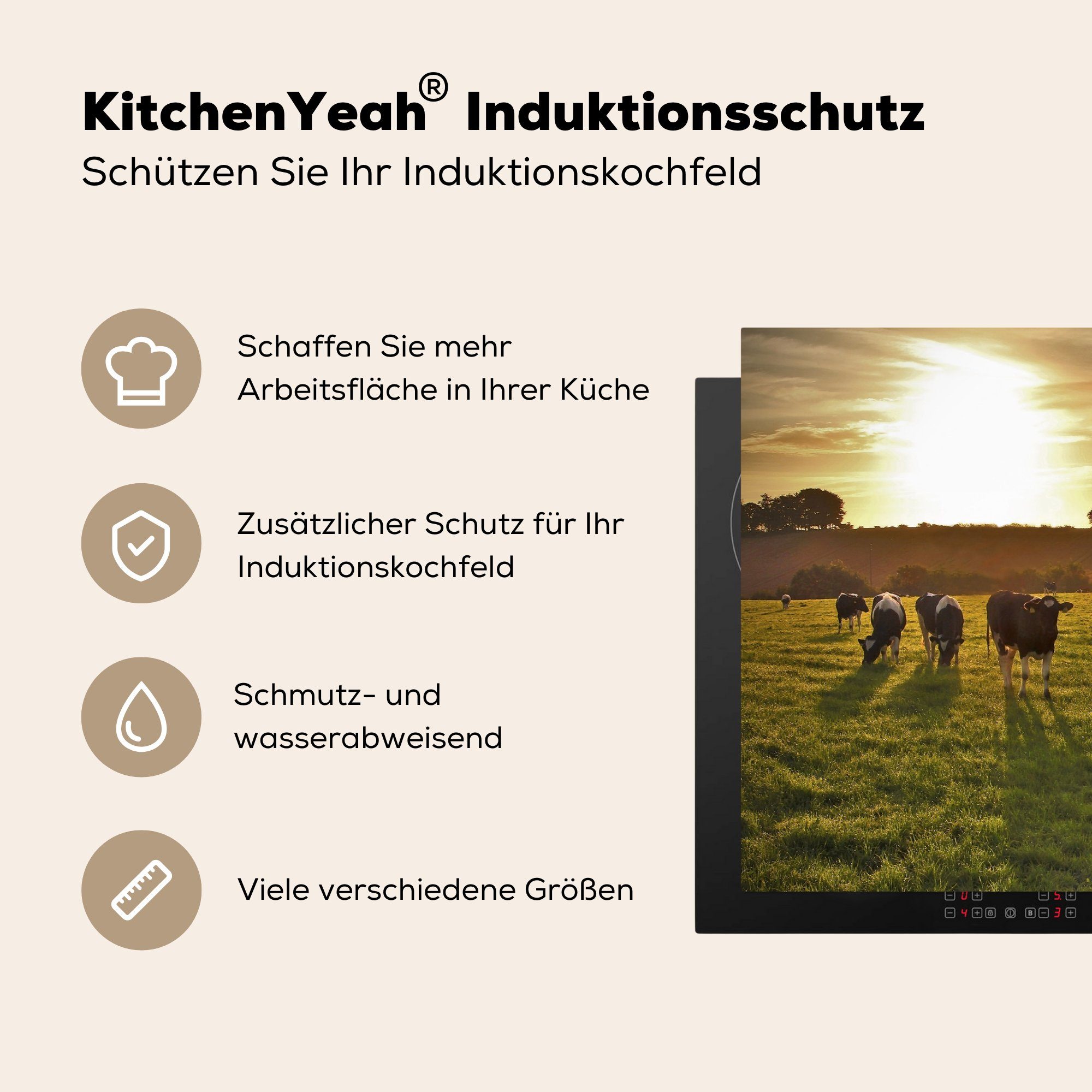 MuchoWow Herdblende-/Abdeckplatte cm, 81x52 Kühe Induktionskochfeld tlg), küche, - die Sonne Vinyl, - (1 Schutz Licht, Ceranfeldabdeckung für
