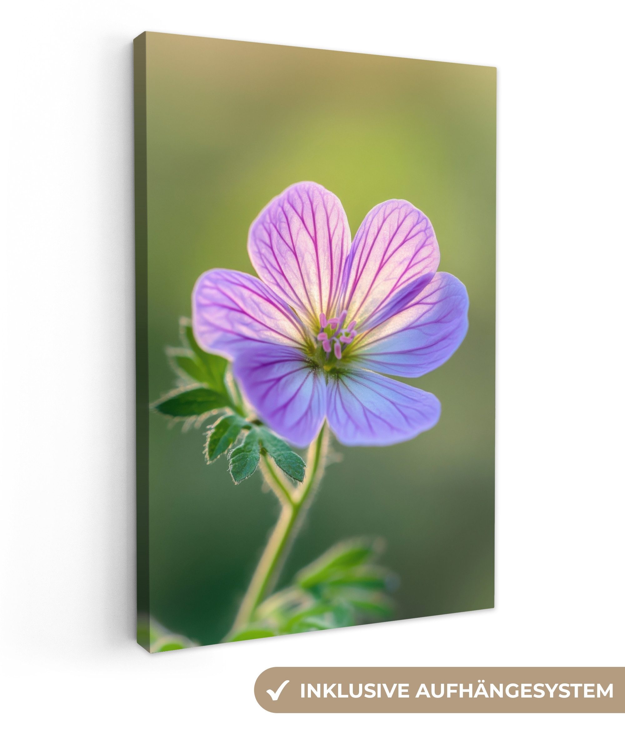 OneMillionCanvasses® Leinwandbild Blume - Nahaufnahme - günstig online kaufen