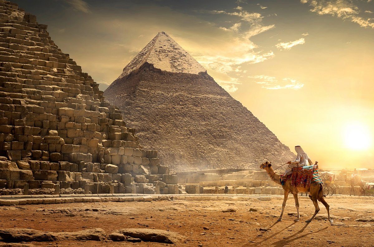Papermoon Fototapete Kamel vor Pyramiden