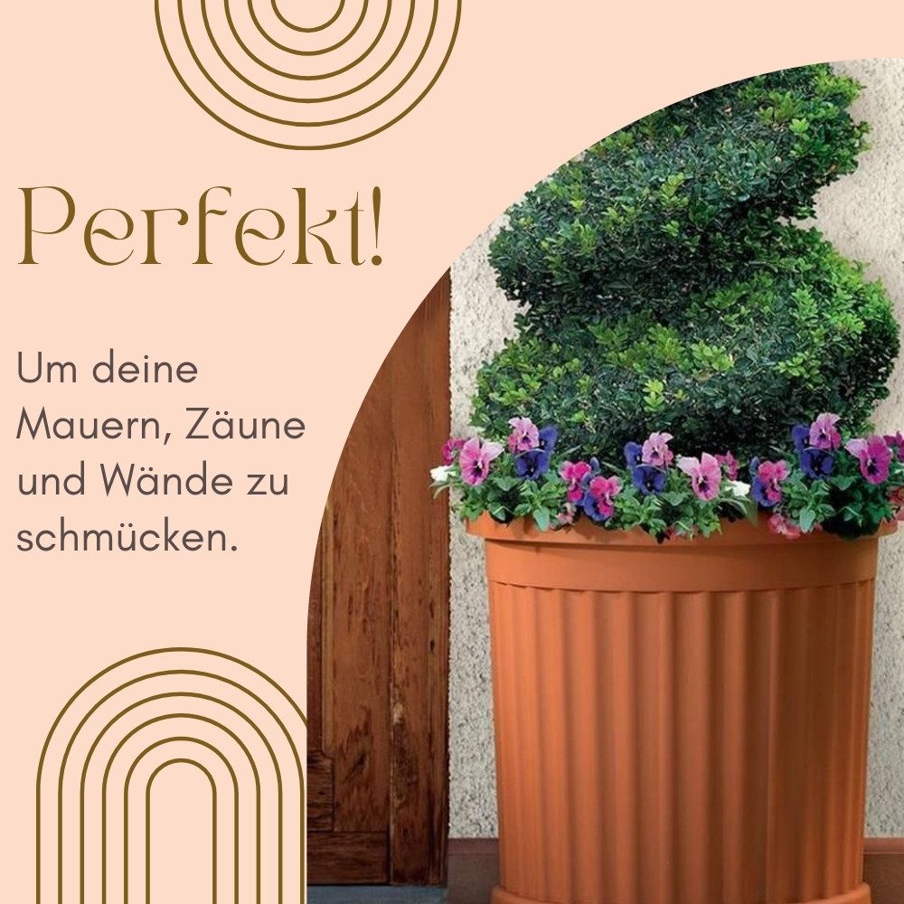 GarPet Pflanzkübel 2x Pflanz Kübel Halbrund günstig online kaufen