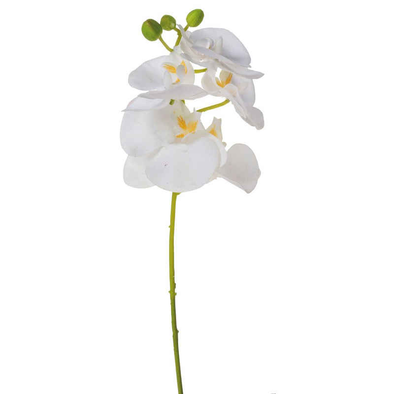 Kunstblume Deko Orchidee Blüte & Knospe Real Touch Gefühl 37 cm weiß Orchidee, matches21 HOME & HOBBY, Höhe 37 cm