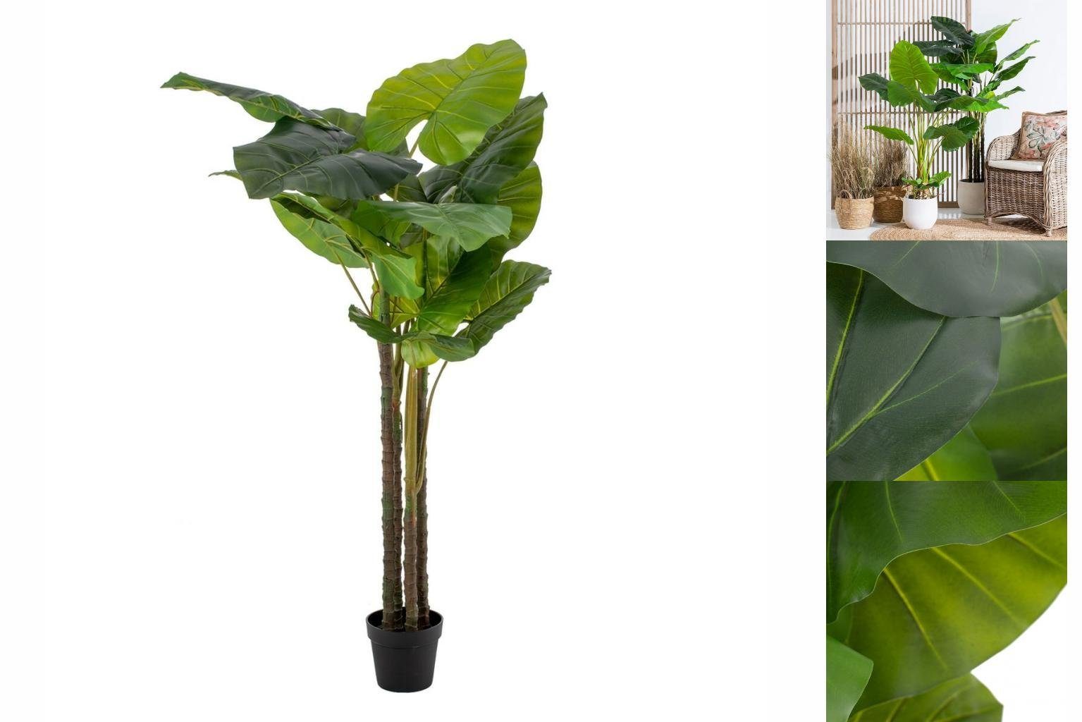 Bigbuy Philodendron x 60 grün Dekoobjekt cm 155 Dekorationspflanze x 75