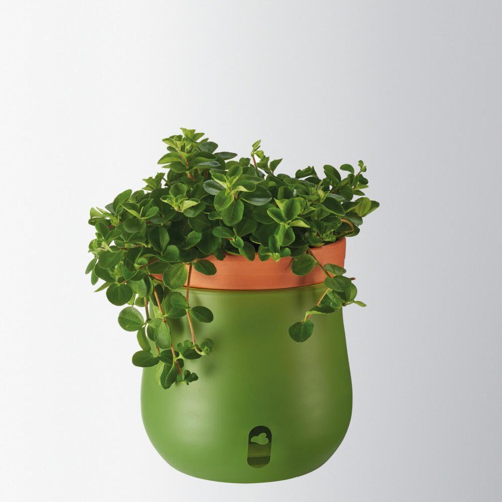 blumenkasten anthrazit 60 cm Balkonkasten 60cm  Green Me Up