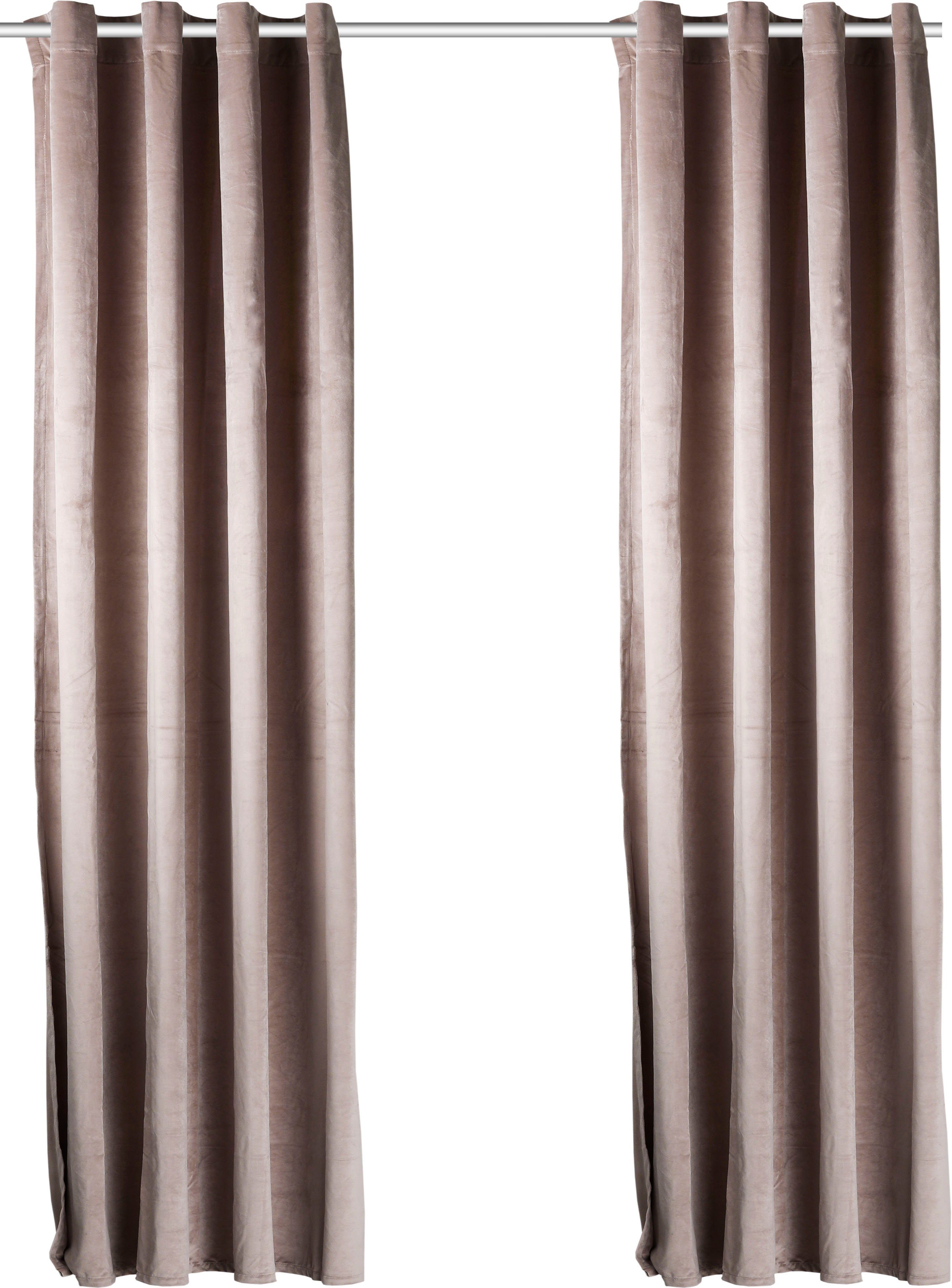 my home Vorhang Velvet Uni, Ösen günstig online kaufen