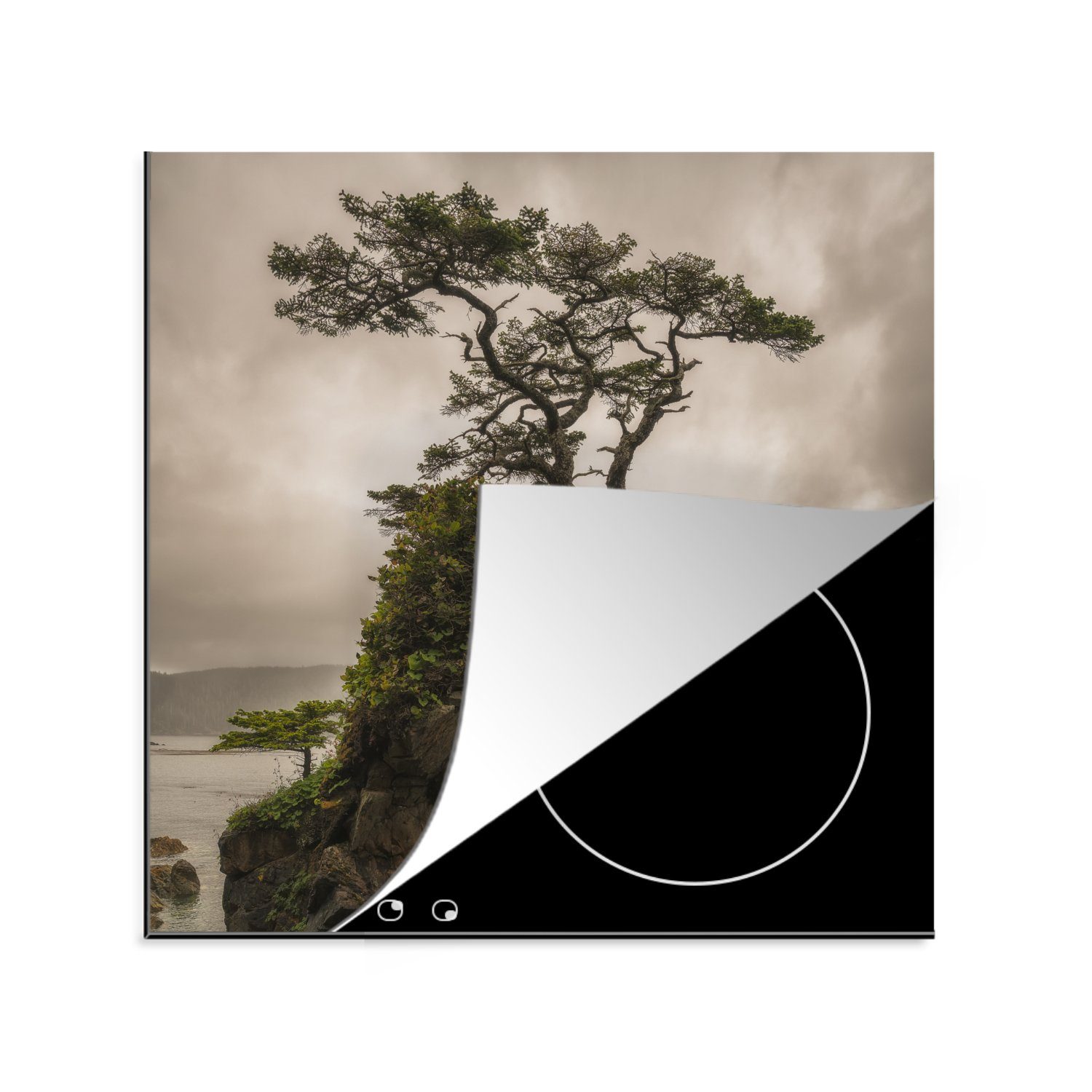 MuchoWow Herdblende-/Abdeckplatte Baum und Felsen auf den kanadischen Charlotte-Inseln in British, Vinyl, (1 tlg), 78x78 cm, Ceranfeldabdeckung, Arbeitsplatte für küche