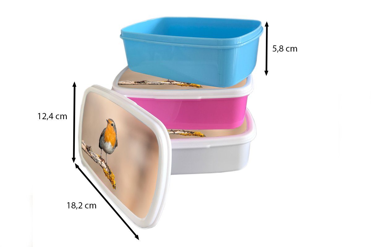 Kinder, Snackbox, - Vogel Erwachsene, für Rotkehlchen Kunststoff Brotdose MuchoWow - Brotbox rosa - Mädchen, (2-tlg), Zweig Tiere, Kunststoff, Lunchbox