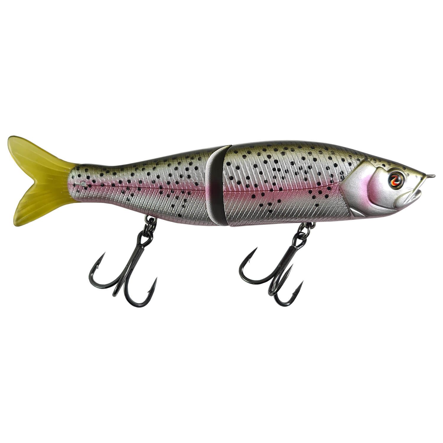 Rainbow Trout
