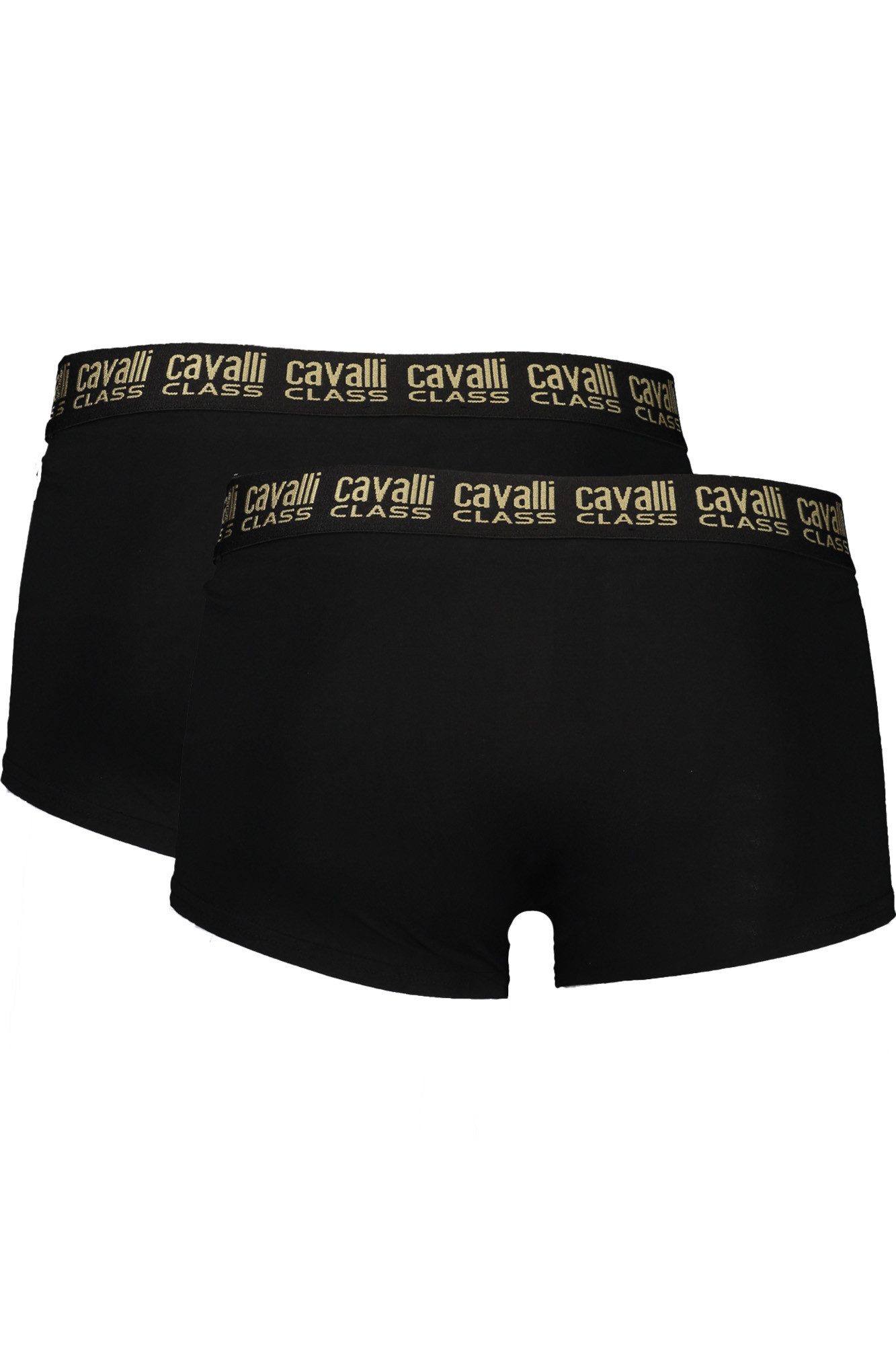 Cavalli Class Boxershorts Doppelte Eleganz: Schwarze Herren-Boxershorts mit Logo-Druck