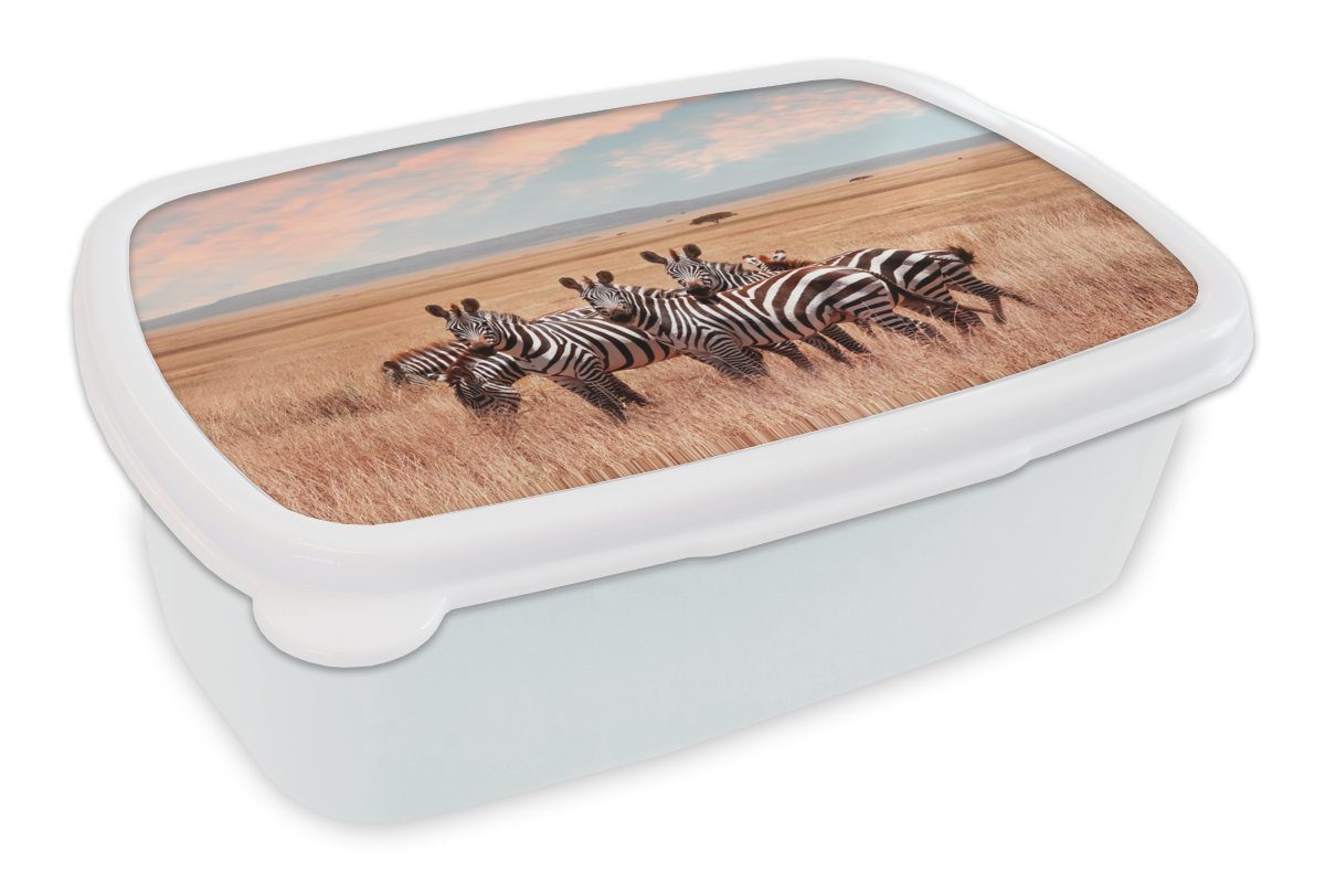 MuchoWow Lunchbox Zebras auf Lande, und für Erwachsene, weiß dem und Mädchen Brotbox Brotdose, Kunststoff, Jungs (2-tlg), für Kinder