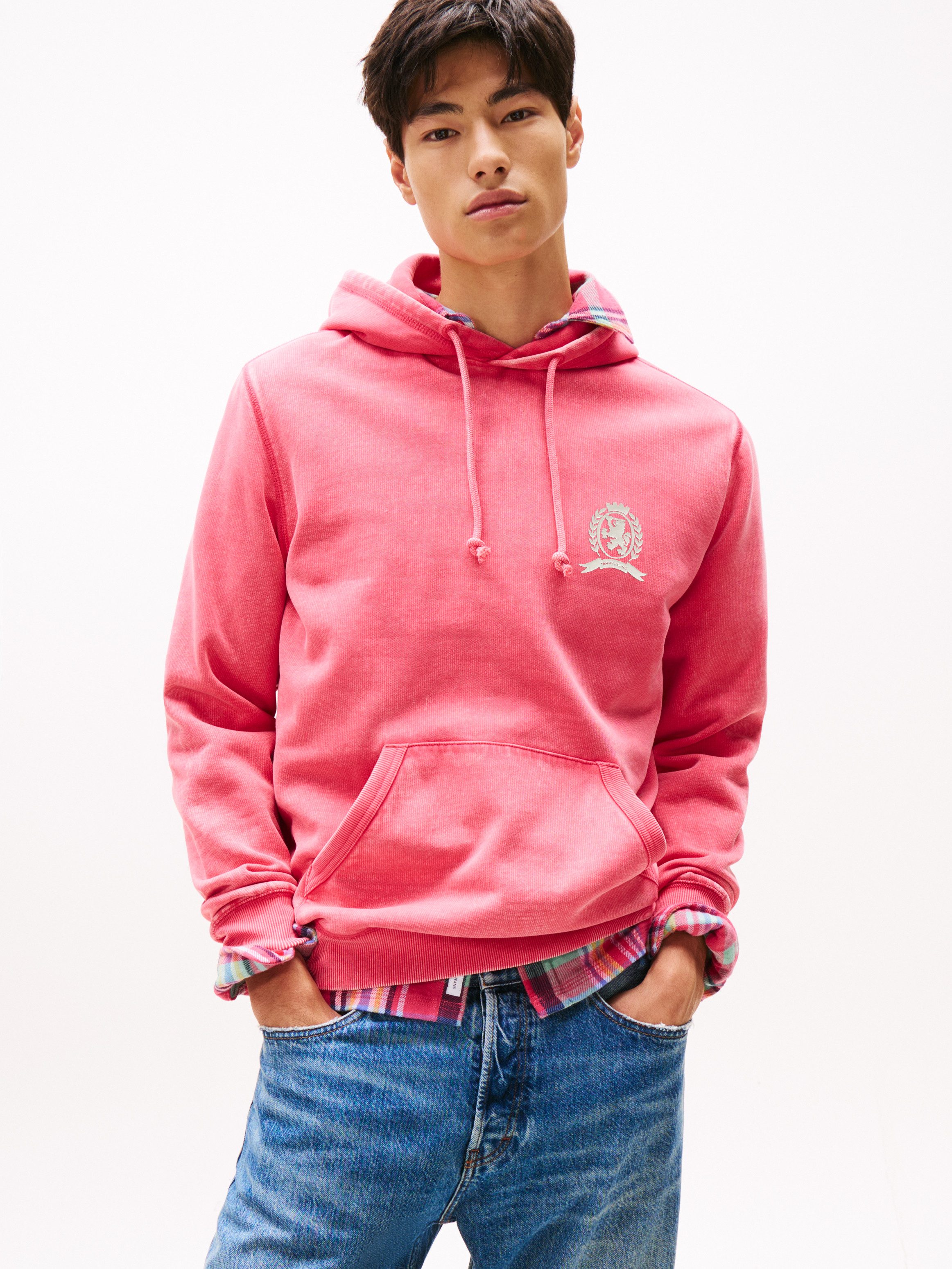 Tommy Jeans Hoodie TJM WASHED CREST günstig online kaufen