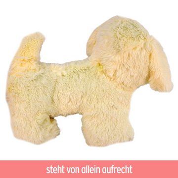 BEMIRO Tierkuscheltier Kuscheltier Hund Welpe 6fach sortiert - ca. 23 cm