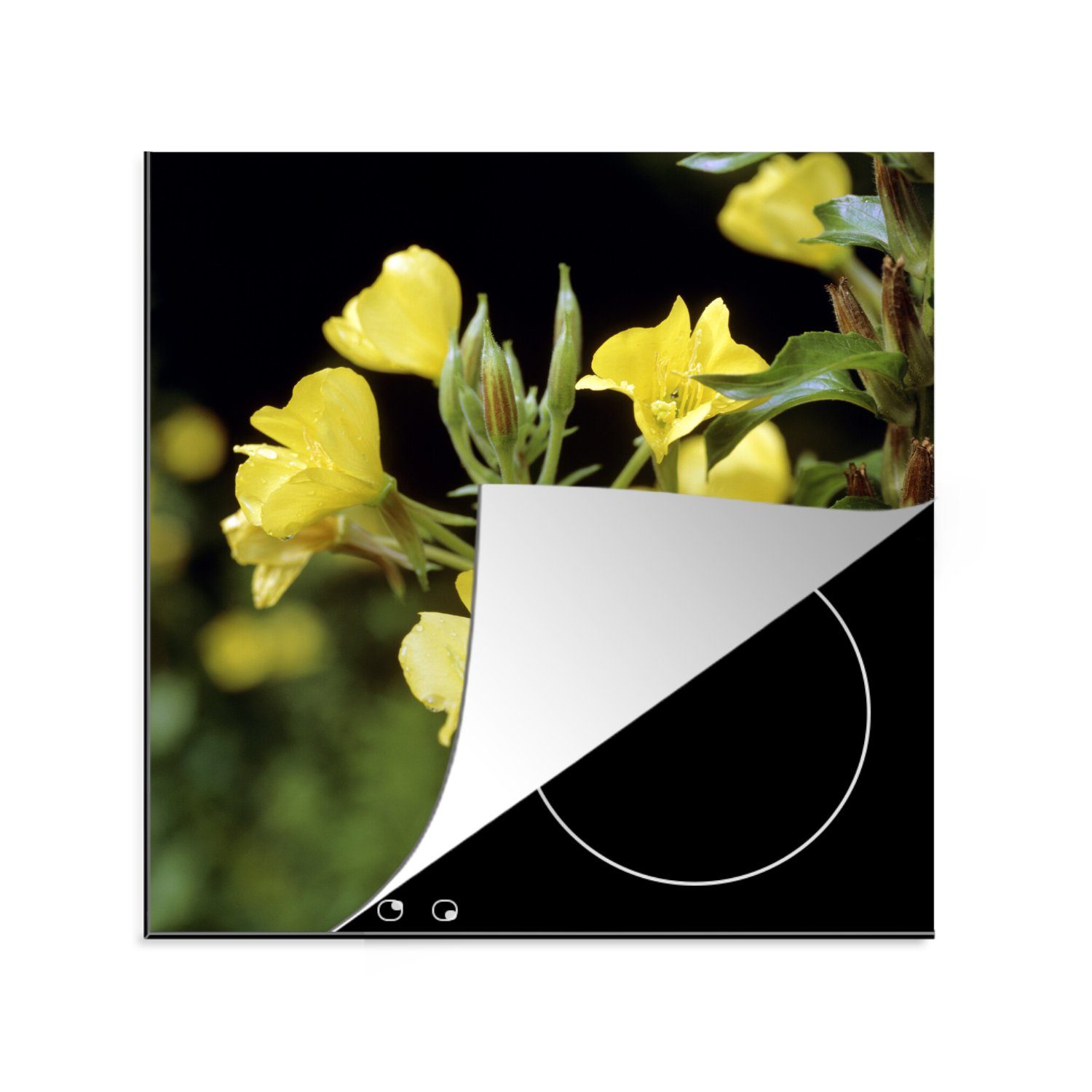 MuchoWow Herdblende-/Abdeckplatte Eine gelbe Nachtkerze, Vinyl, (1 tlg), 78x78 cm, Ceranfeldabdeckung, Arbeitsplatte für küche | Herdabdeckplatten