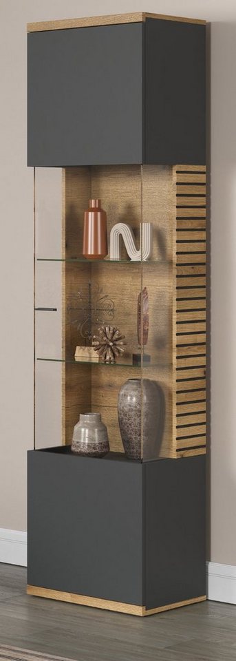 Furn.Design Vitrine Norris (Standvitrine in Eiche und grau, 51 x 205 cm)  mit Soft-Close-Funktion
