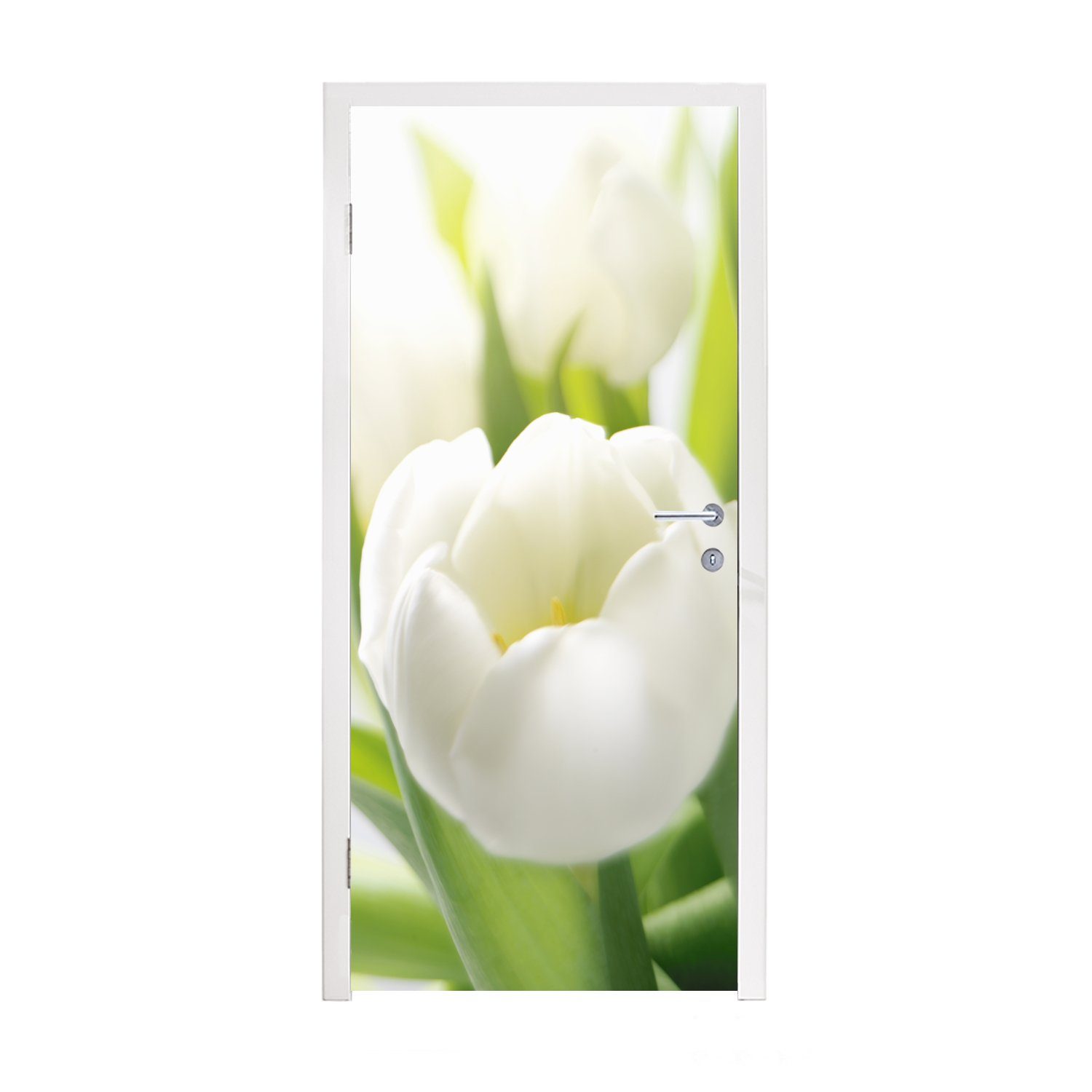 MuchoWow Türtapete Nahaufnahme einer weißen Tulpe, Matt, bedruckt, (1 St), Fototapete für Tür, Türaufkleber, 75x205 cm