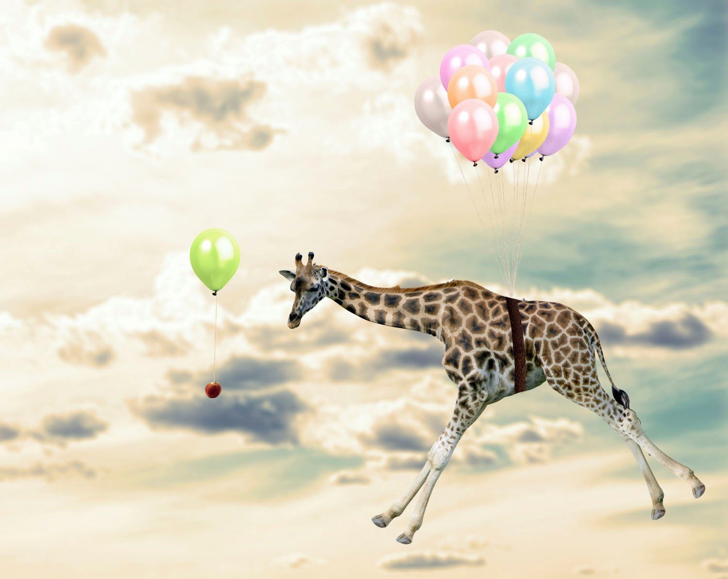queence Acrylglasbild fliegende Giraffe | Bilder