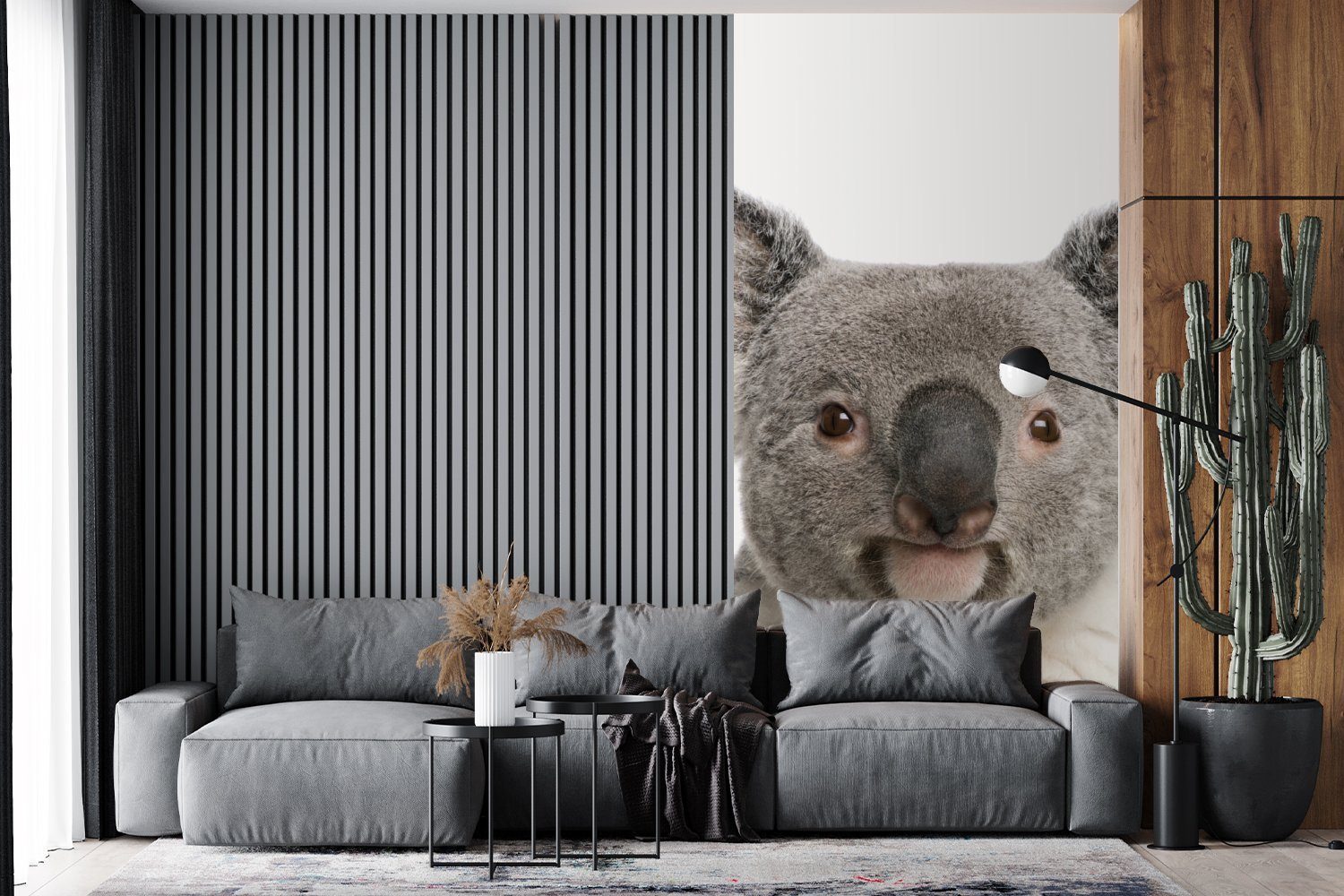 MuchoWow Fototapete Koala - Koala Jungen für bedruckt, - St), Fototapete Schlafzimmer Bär Vliestapete Matt, Wohnzimmer - - Tiere, Küche, Mädchen (2