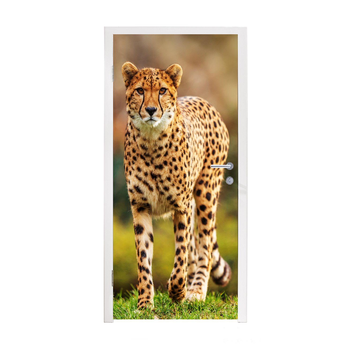 MuchoWow Türtapete Wildtiere - Gras - Leopard - Natur, Matt, bedruckt, (1 St), Fototapete für Tür, Türaufkleber, 75x205 cm