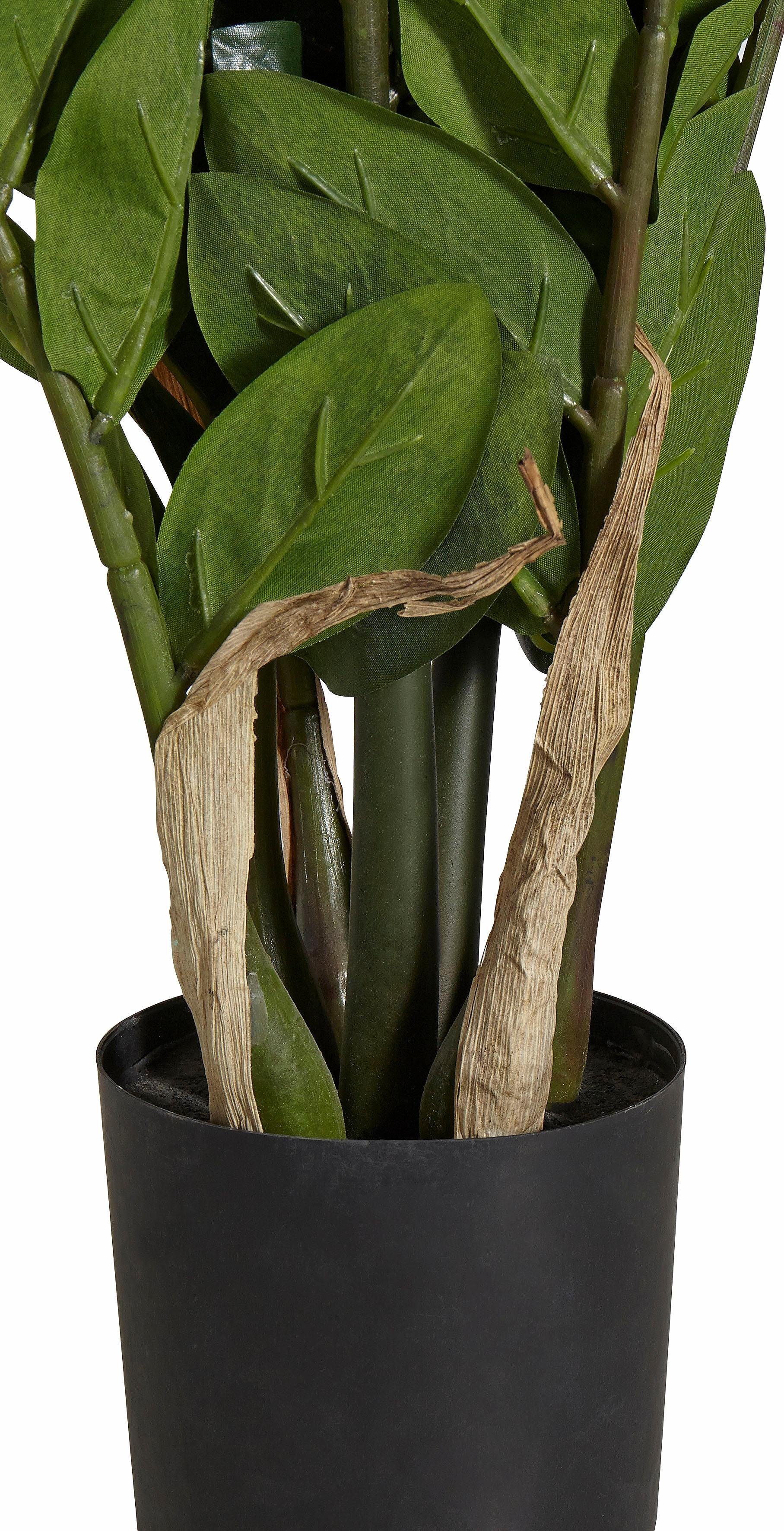 Kunstpflanze Zamifolia, Creativ green, cm Höhe 70