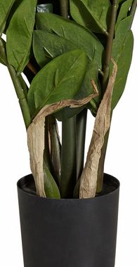 Kunstpflanze Zamifolia, Creativ green, Höhe 70 cm