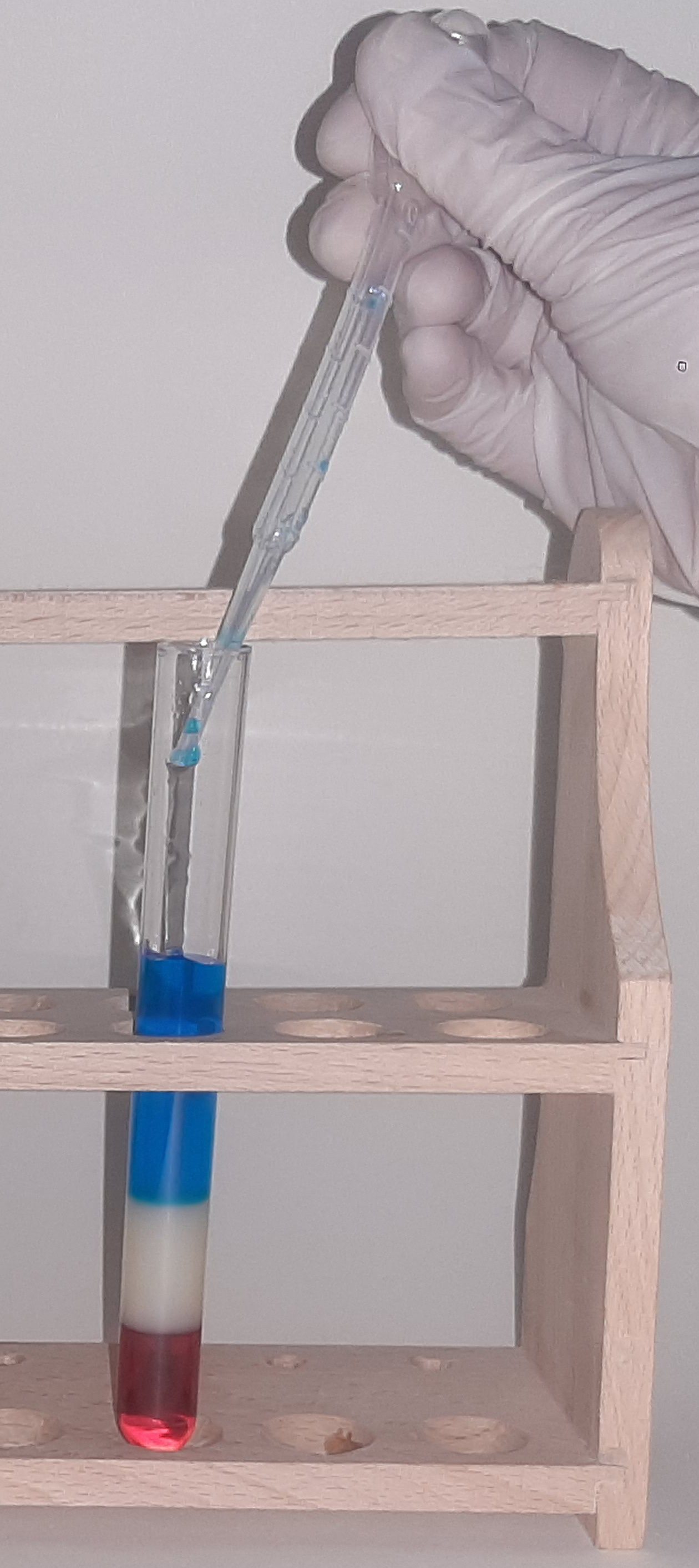 myExperimentSet Experimentierkasten für Forscherstationen in der Grundschule, (6 unabhängige Forscherstationen-tlg., Forschen, Entdecken und Wissen erleben), inkl. laminierten Erklärtafeln mit Bildern und Zeichnungen