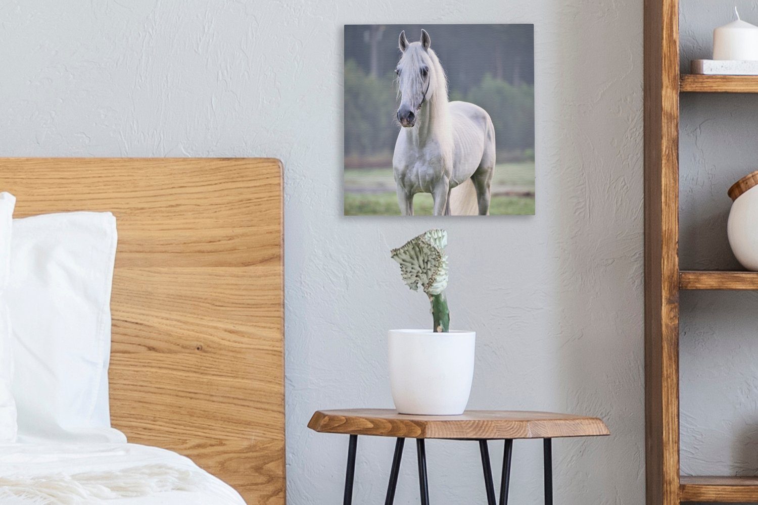 (1 Licht St), OneMillionCanvasses® Leinwand Wohnzimmer Pferd Morgen, - - für Schlafzimmer Bilder Leinwandbild