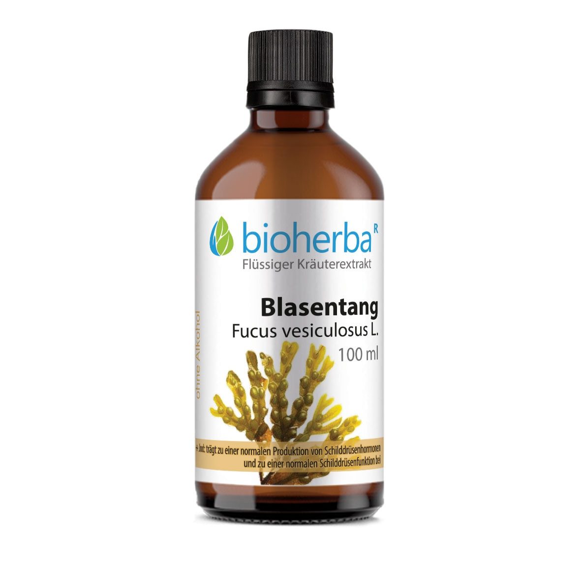 BIOHERBA R Schilddrüsen Tropfen mit Blasentang Extrakt Tinktur 100 ml Nahrungsergänzungsmittel