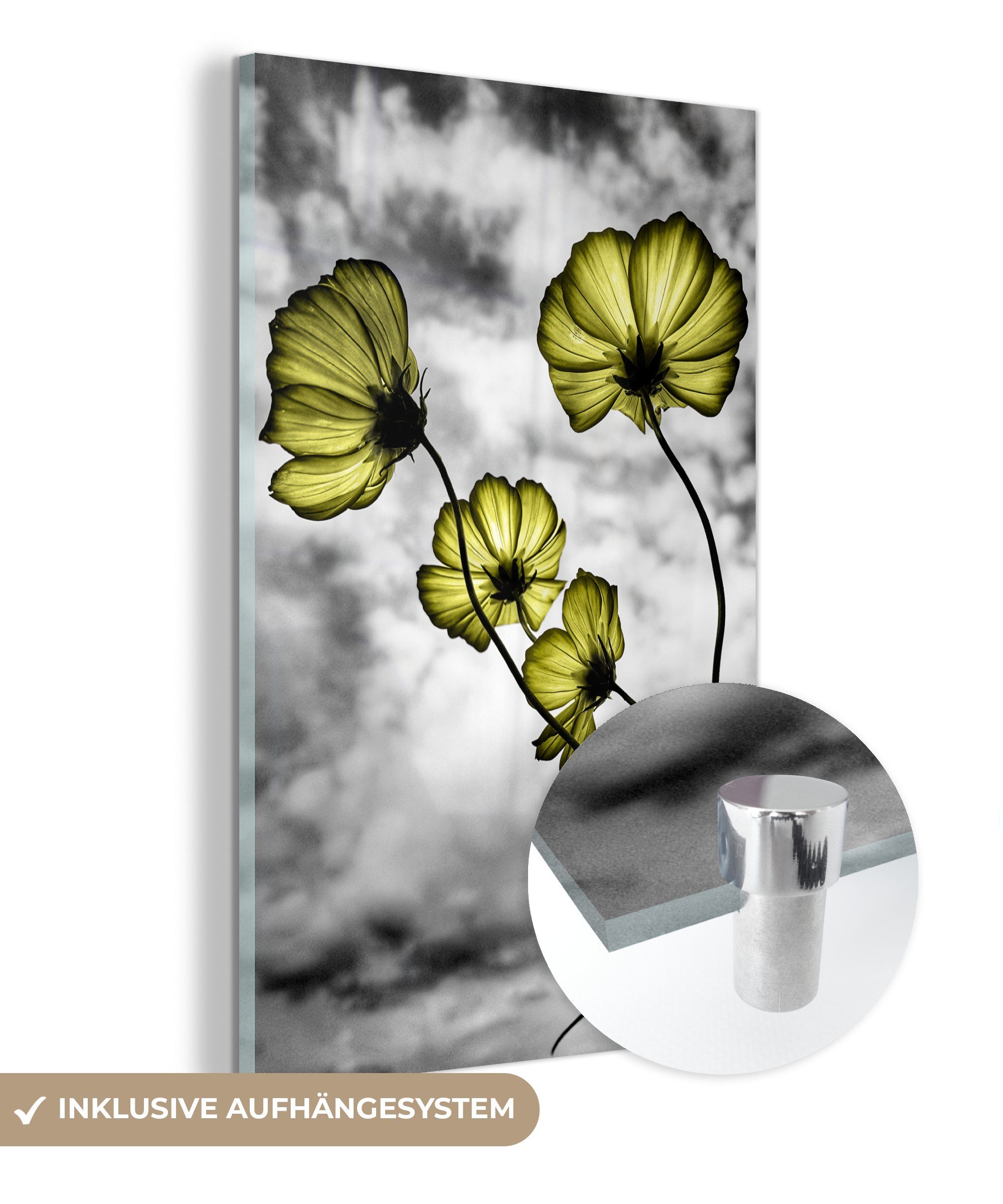 MuchoWow Acrylglasbild Blumen - Schwarz - Weiß - Gelb, (1 St), Glasbilder - Bilder auf Glas Wandbild - Foto auf Glas - Wanddekoration