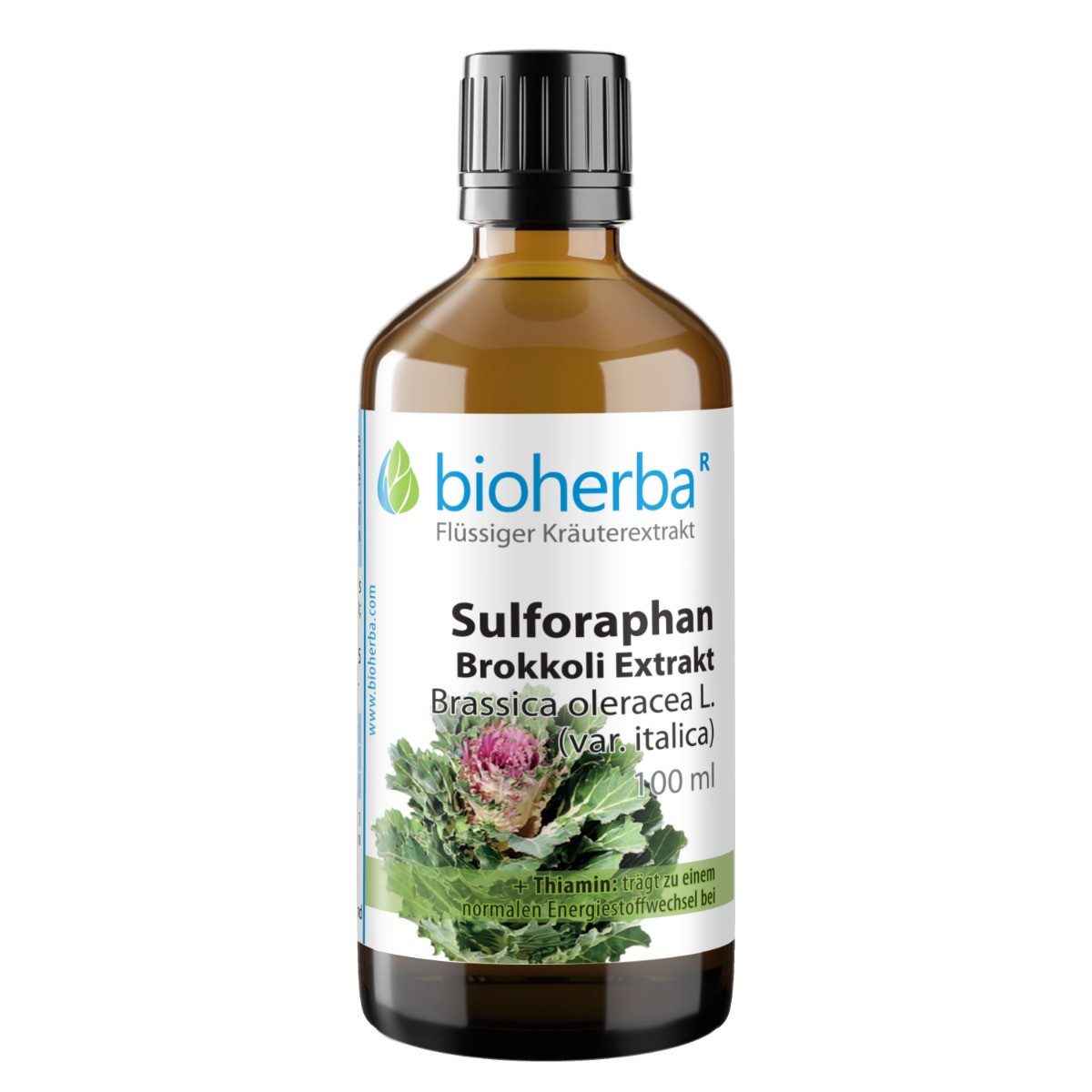 BIOHERBA R Bioherba Sulforaphan Brokkoli Exrakt Tropfen Tinktur 100 ml Glasflasche, 1 er