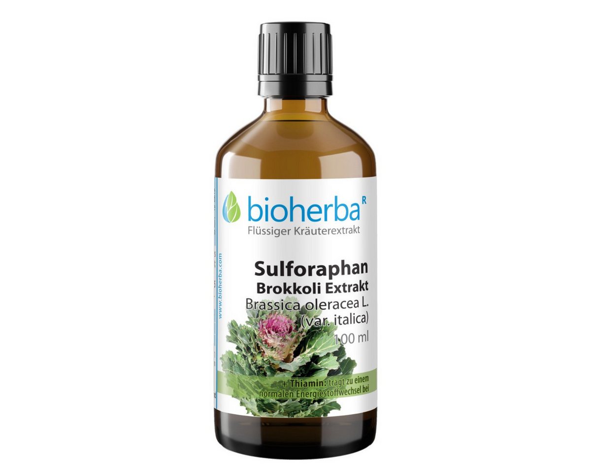 BIOHERBA R Bioherba Sulforaphan Brokkoli Exrakt Tropfen Tinktur 100 ml Glasflasche, 1 er