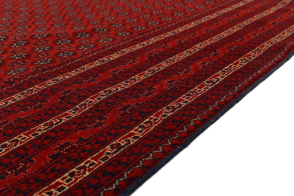Orientteppich Afghan Mauri rechteckig, Höhe: Handgeknüpfter mm Trading, Orientteppich, Nain 6 251x350