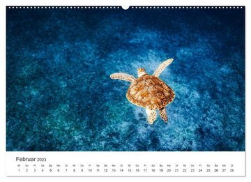 CALVENDO Wandkalender Unterwasserwelt - ein farbenforhes Schauspiel. (Premium, hochwertiger DIN A2 Wandkalender 2023, Kunstdruck in Hochglanz)