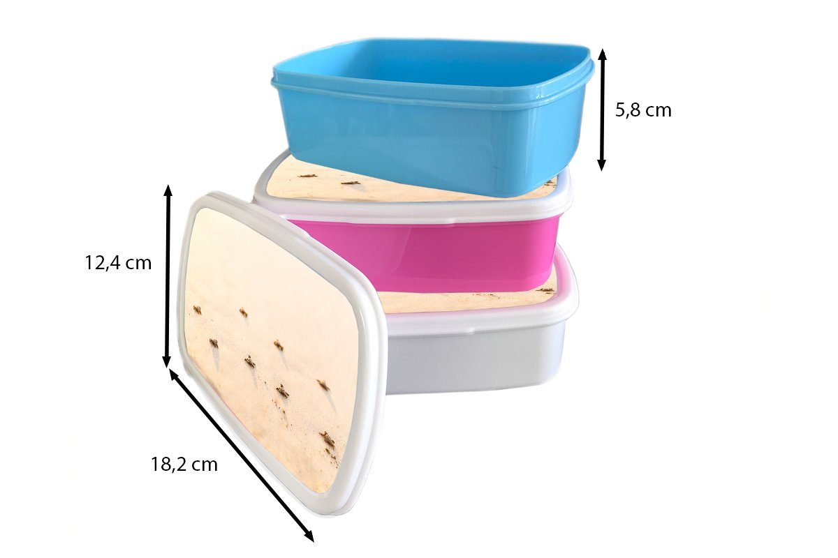 Mädchen, Kinder, Brotbox rosa Snackbox, Erwachsene, Lunchbox Baby-Schildkröten Brotdose MuchoWow Kunststoff, für Fotodruck, Kunststoff (2-tlg),