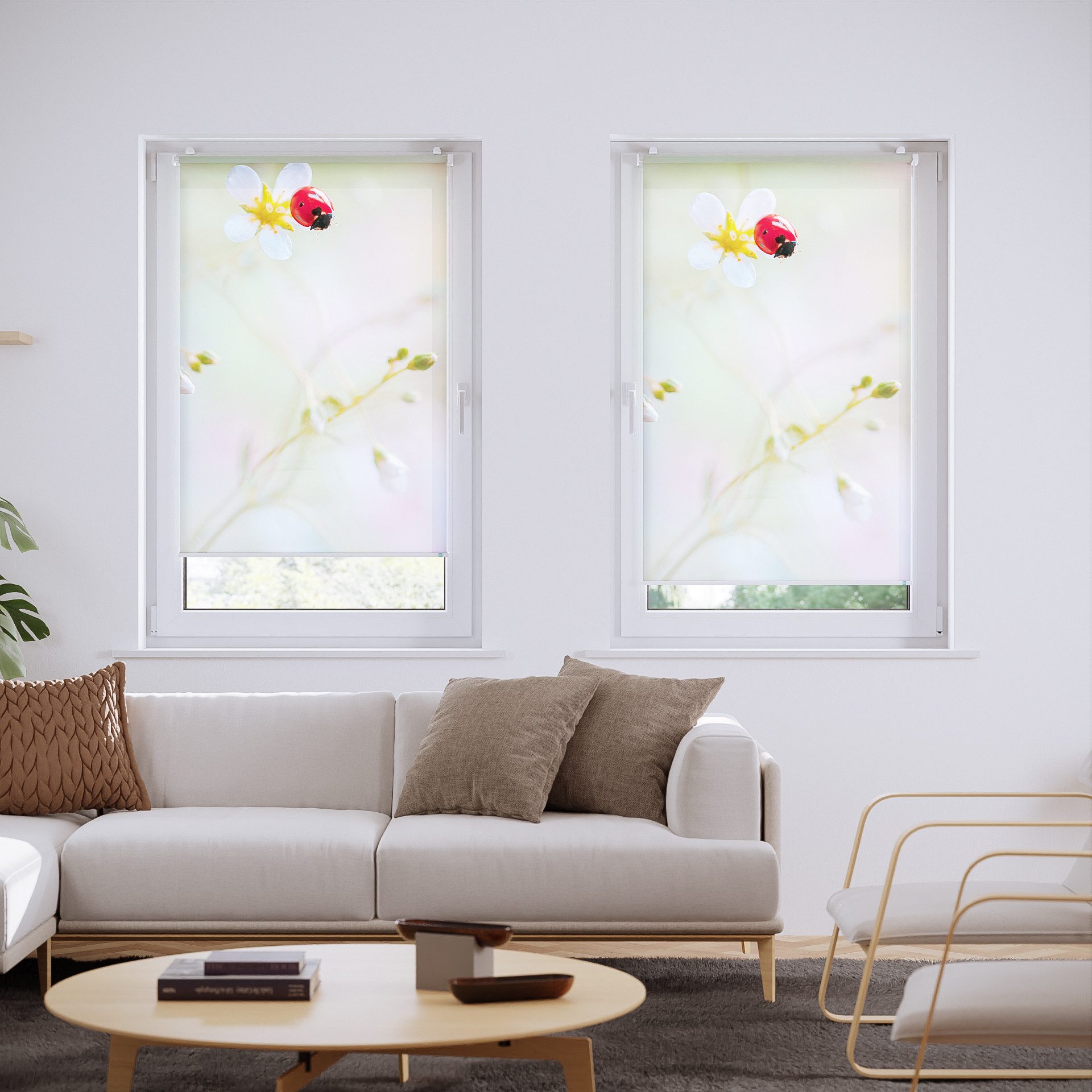 Rollo Rollo, Roomy, Klemmbar, Anschraubbar, Klemmbar, Anschraubbar