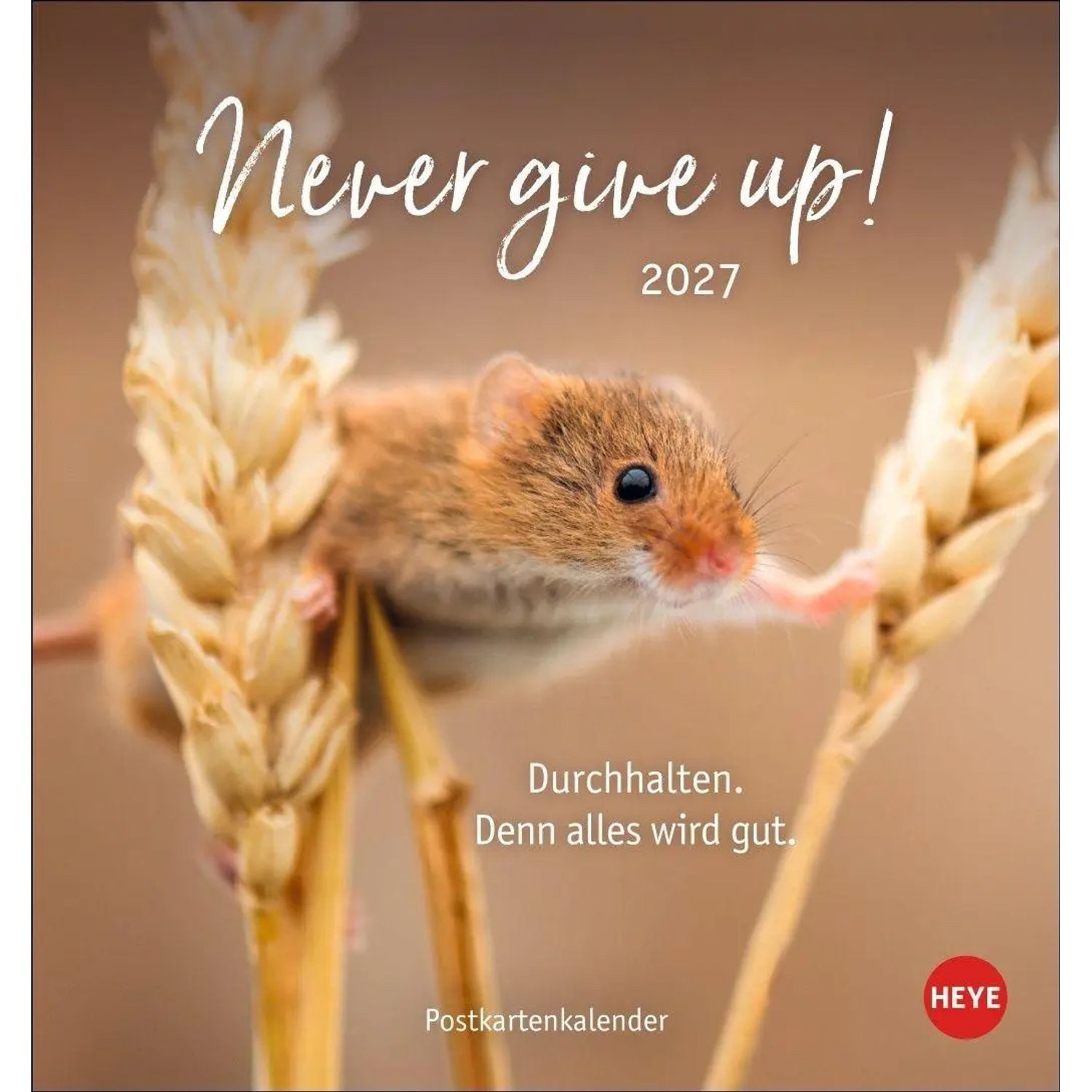 HEYE Wandkalender Never give up! Postkartenkalender 2027 - Durchhalten. Denn alles...