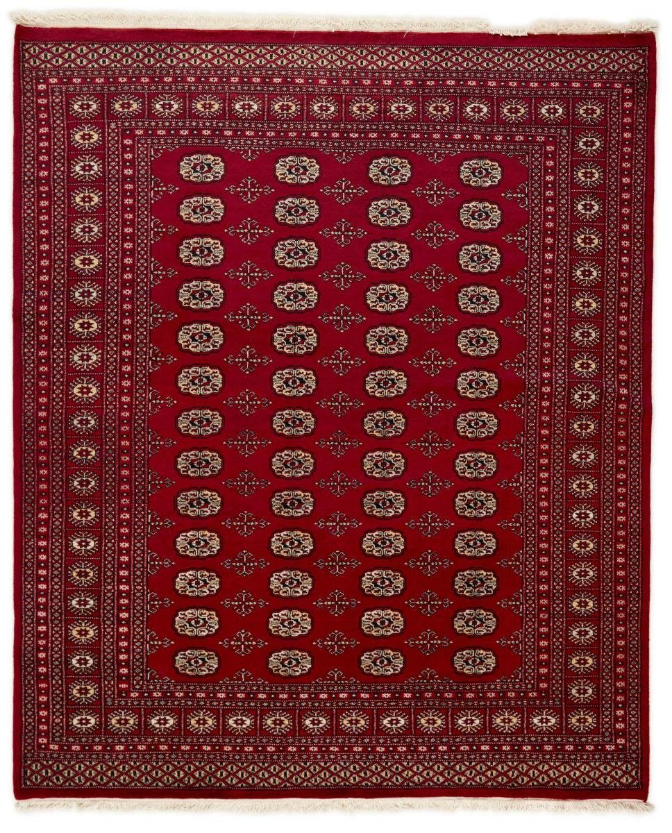 Orientteppich Pakistan Buchara 2ply 201x243 Handgeknüpfter Orientteppich, Nain Trading, rechteckig, Höhe: 8 mm